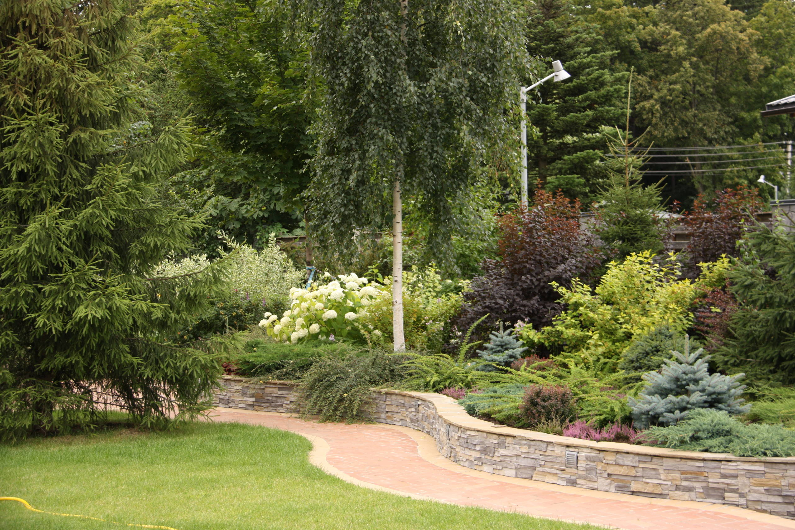 В закладки: Быстрорастущие деревья и кустарники