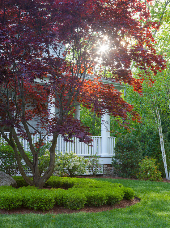 Ваш участок 10 соток? —Забудьте о саде «новой волны»