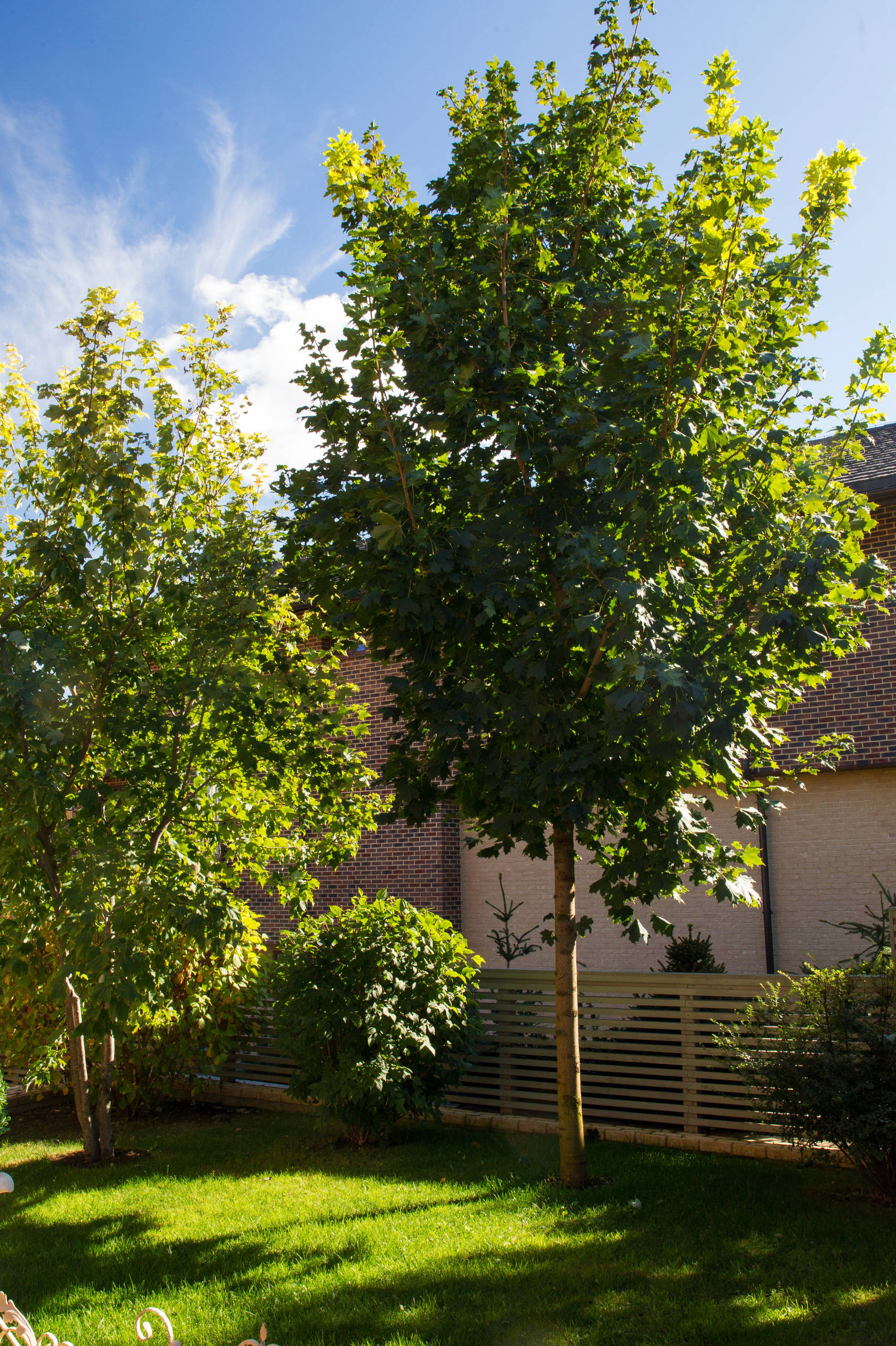 Дизайн-дебаты: Существуют ли недорогие ландшафтные стили