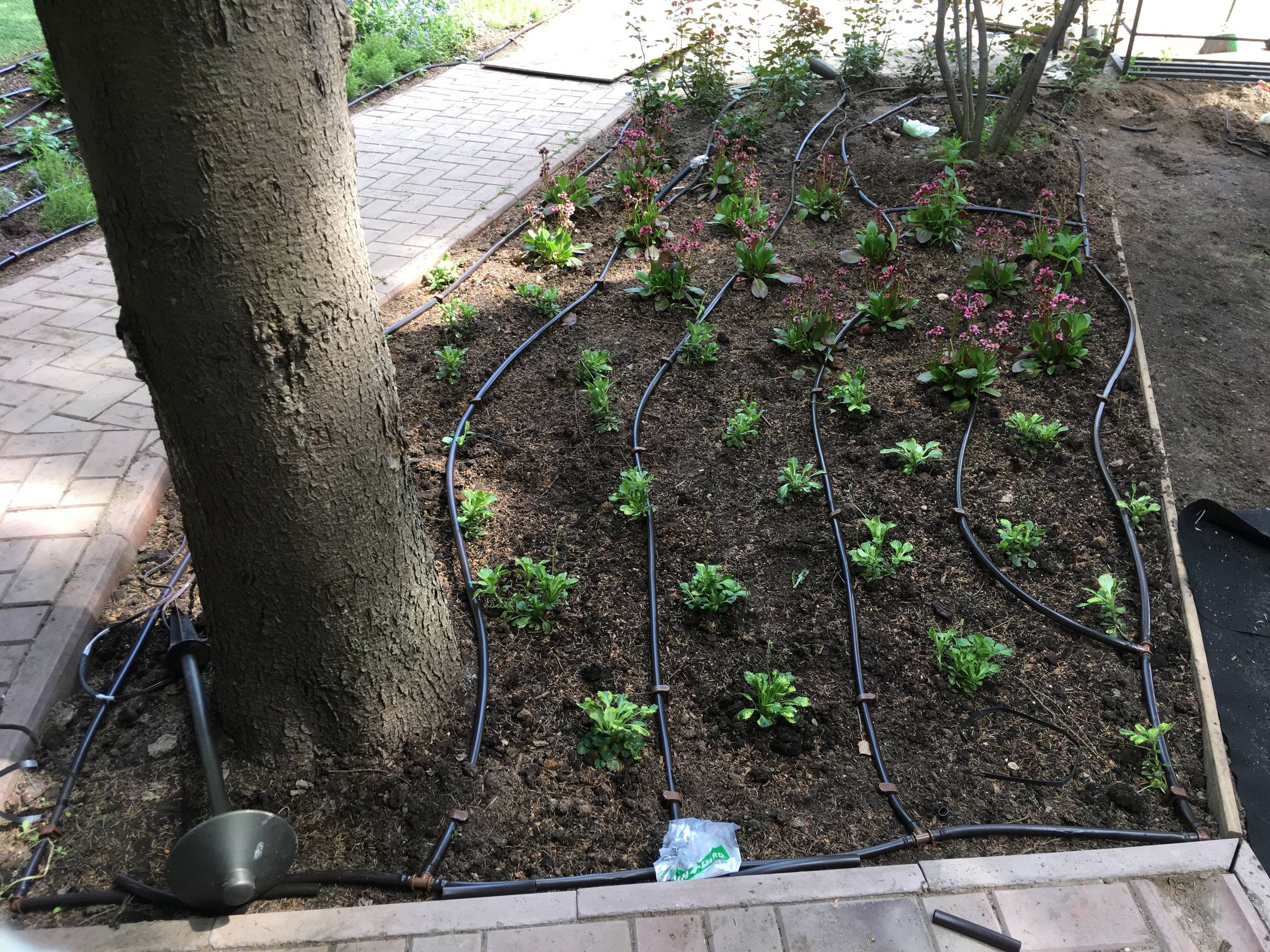 Вопрос: Как сделать автополив на участке