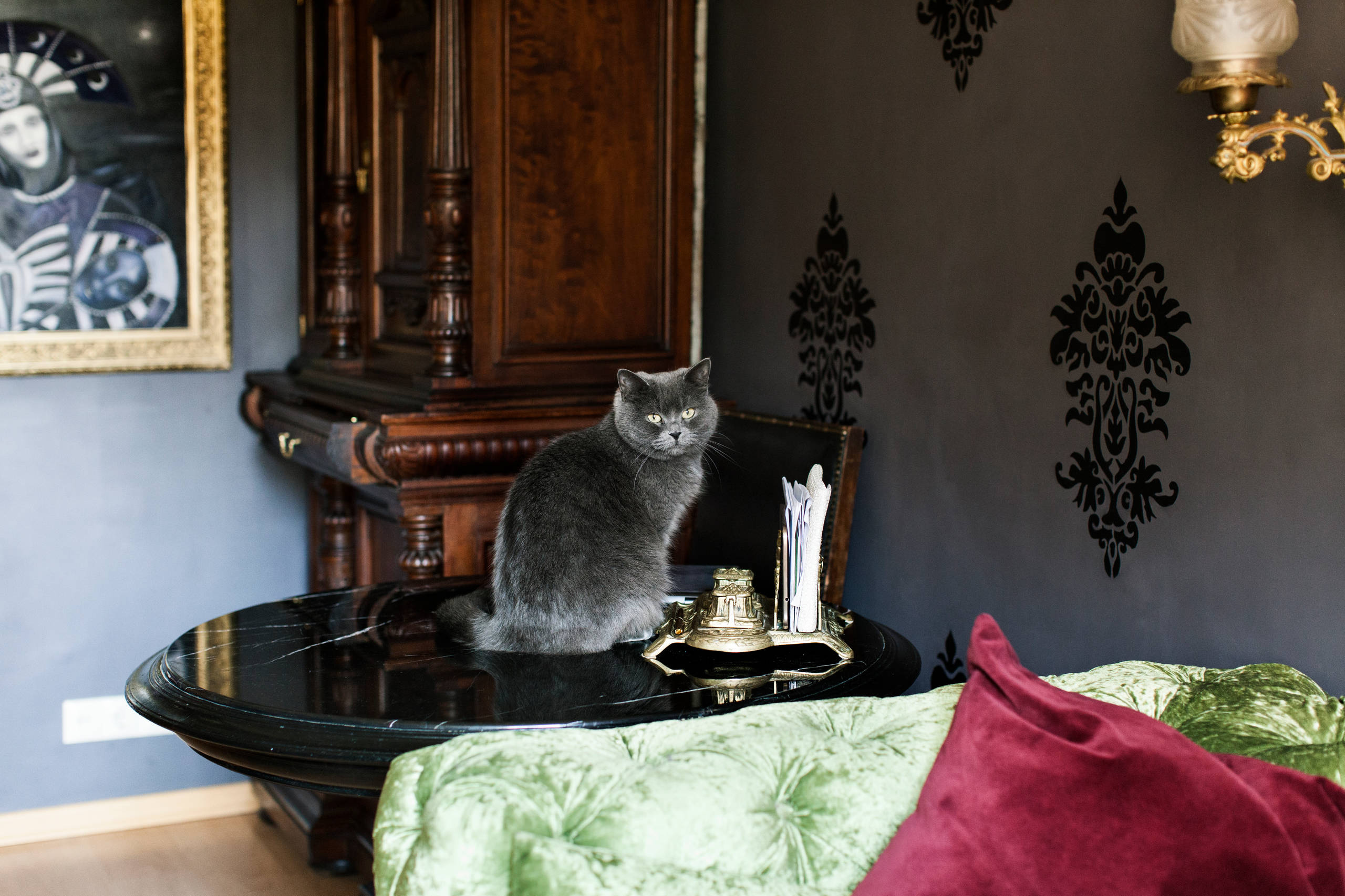 В гостях: Квартира культуролога с котами и антиквариатом