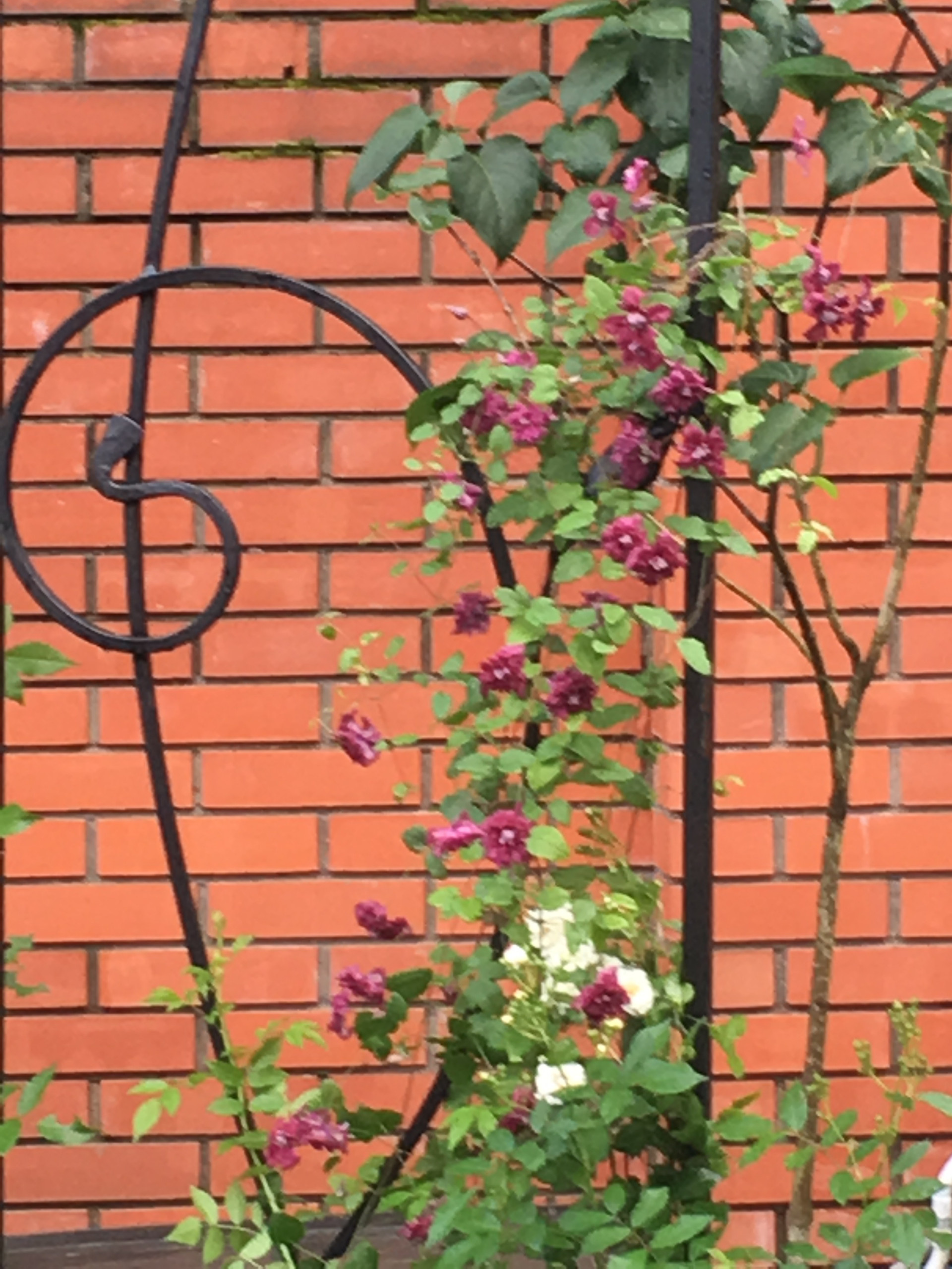 В гостях: Сад на 14 сотках, где живут круглый год