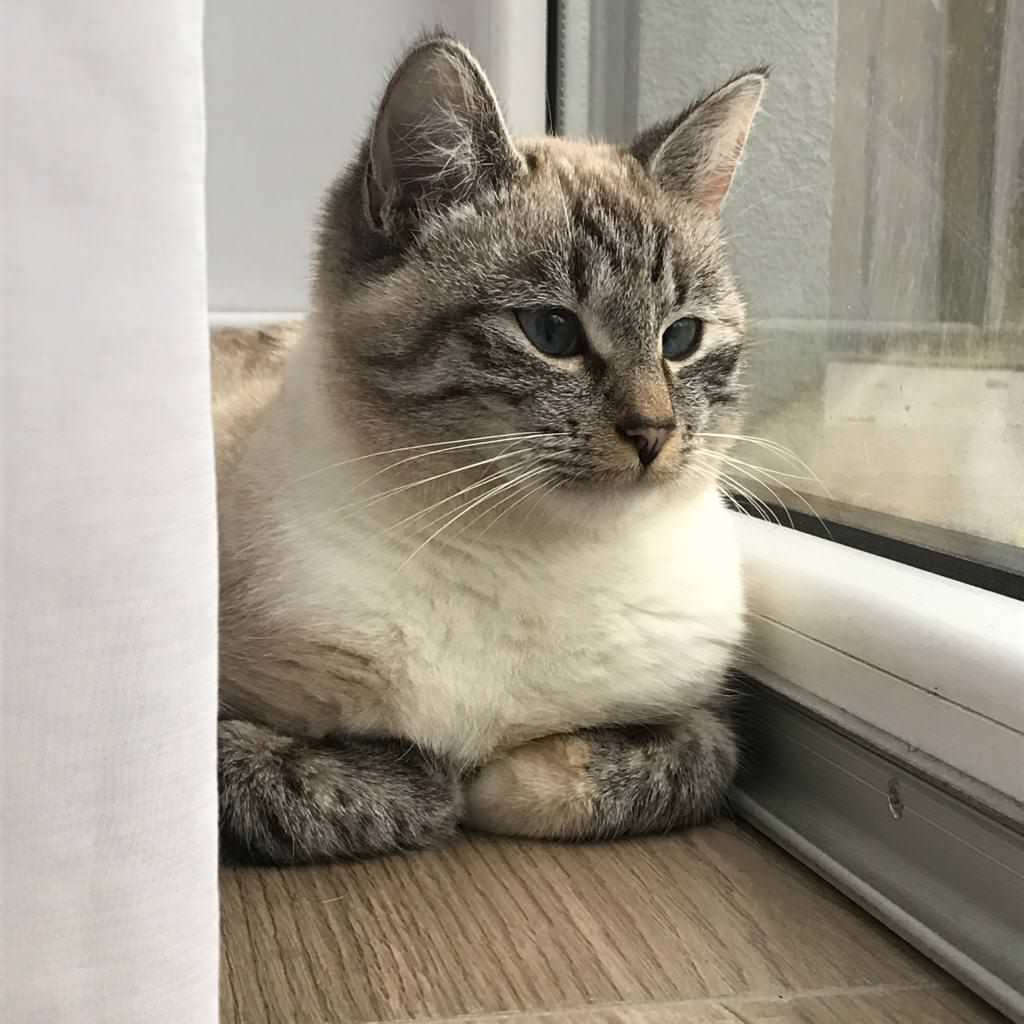 В гостях: трехэтажная квартира в Светлогорске