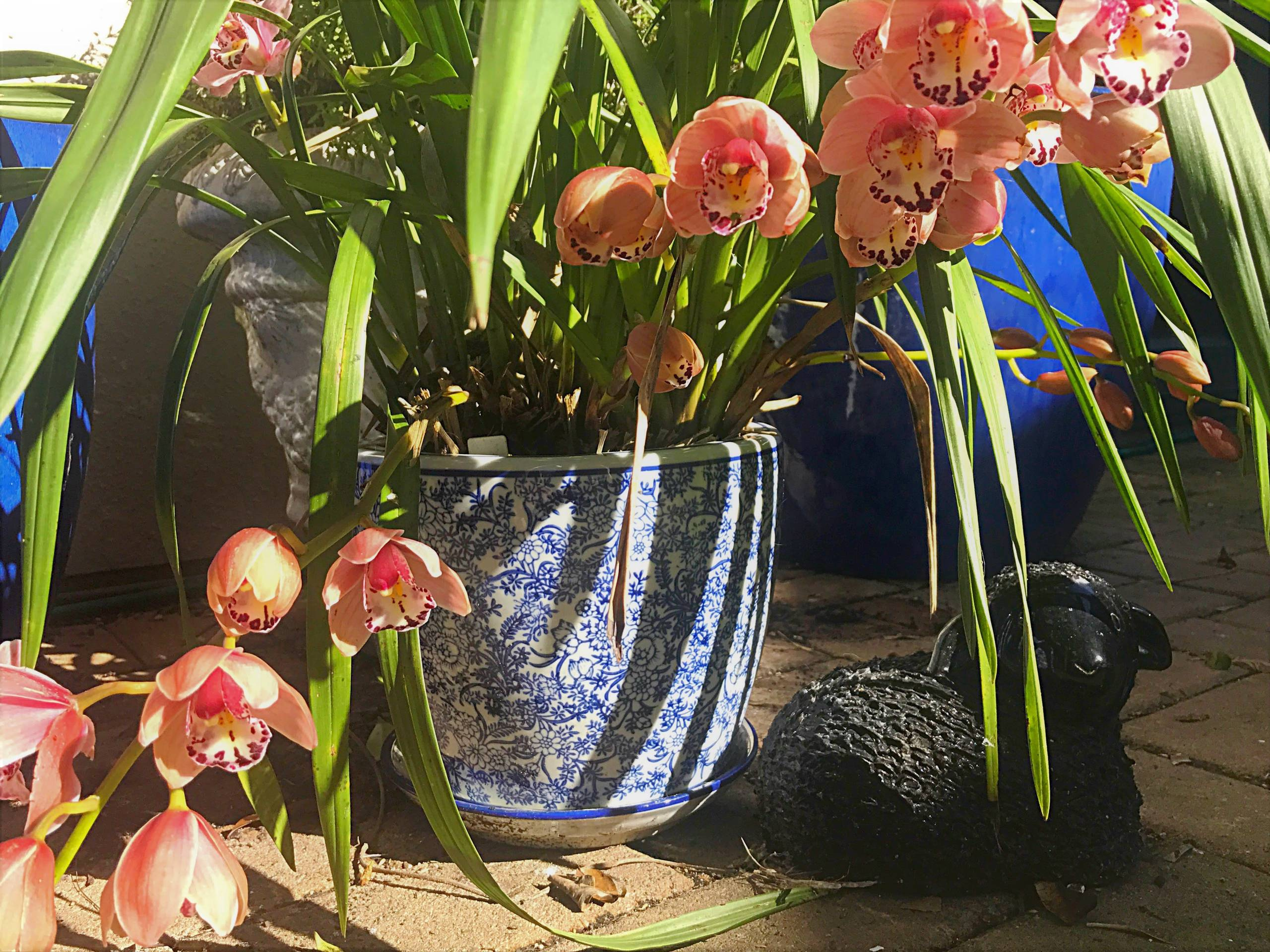 Вопрос: Сад, интерьер и зимний сад — как их связать воедино