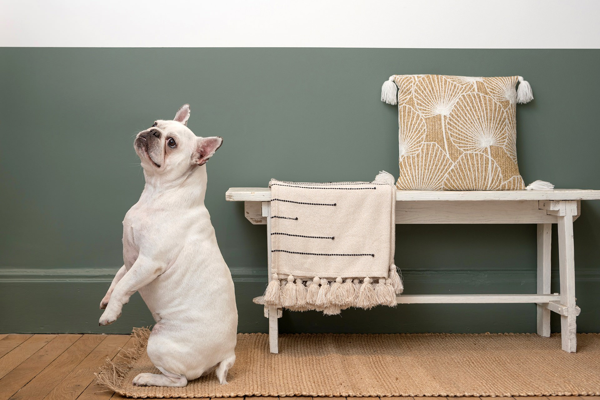 Вечная проблема: Обои или краска?