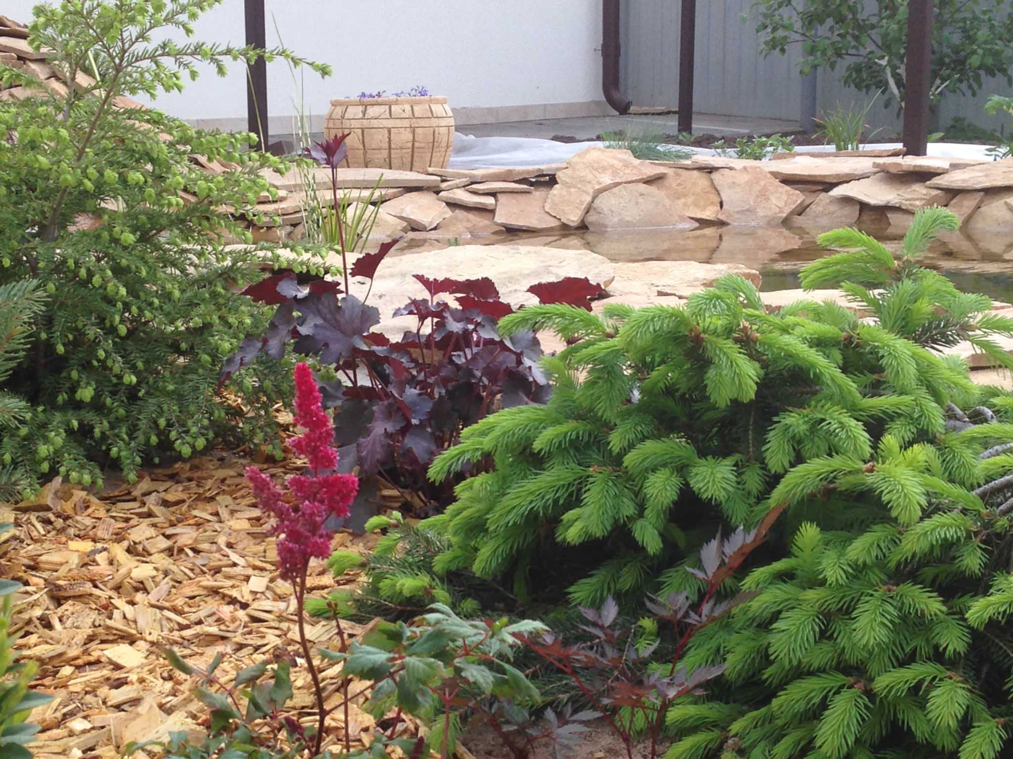 Houzz в саду: Дачный пруд в африканском стиле