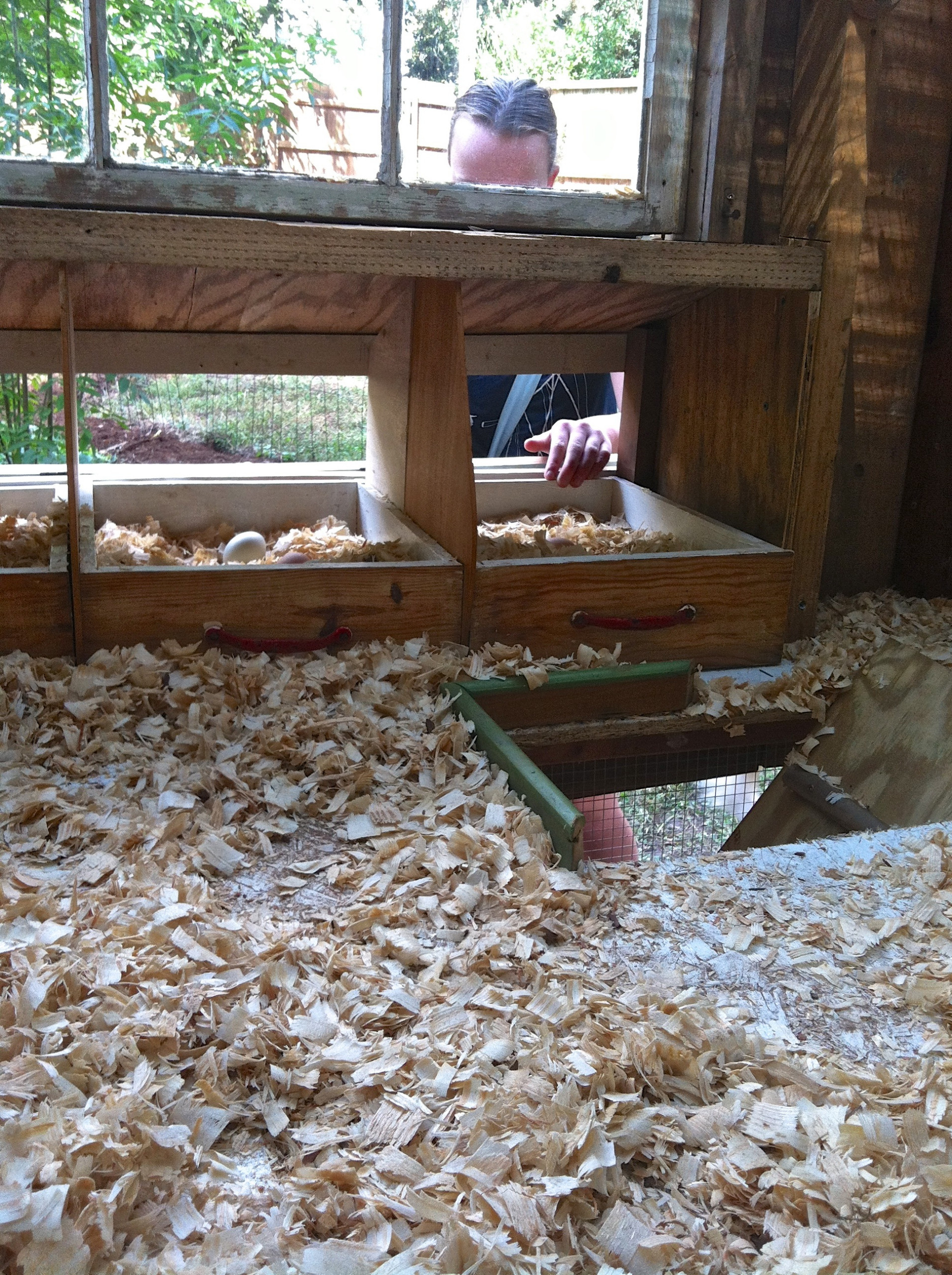 Вопрос: Как построить курятник своими руками