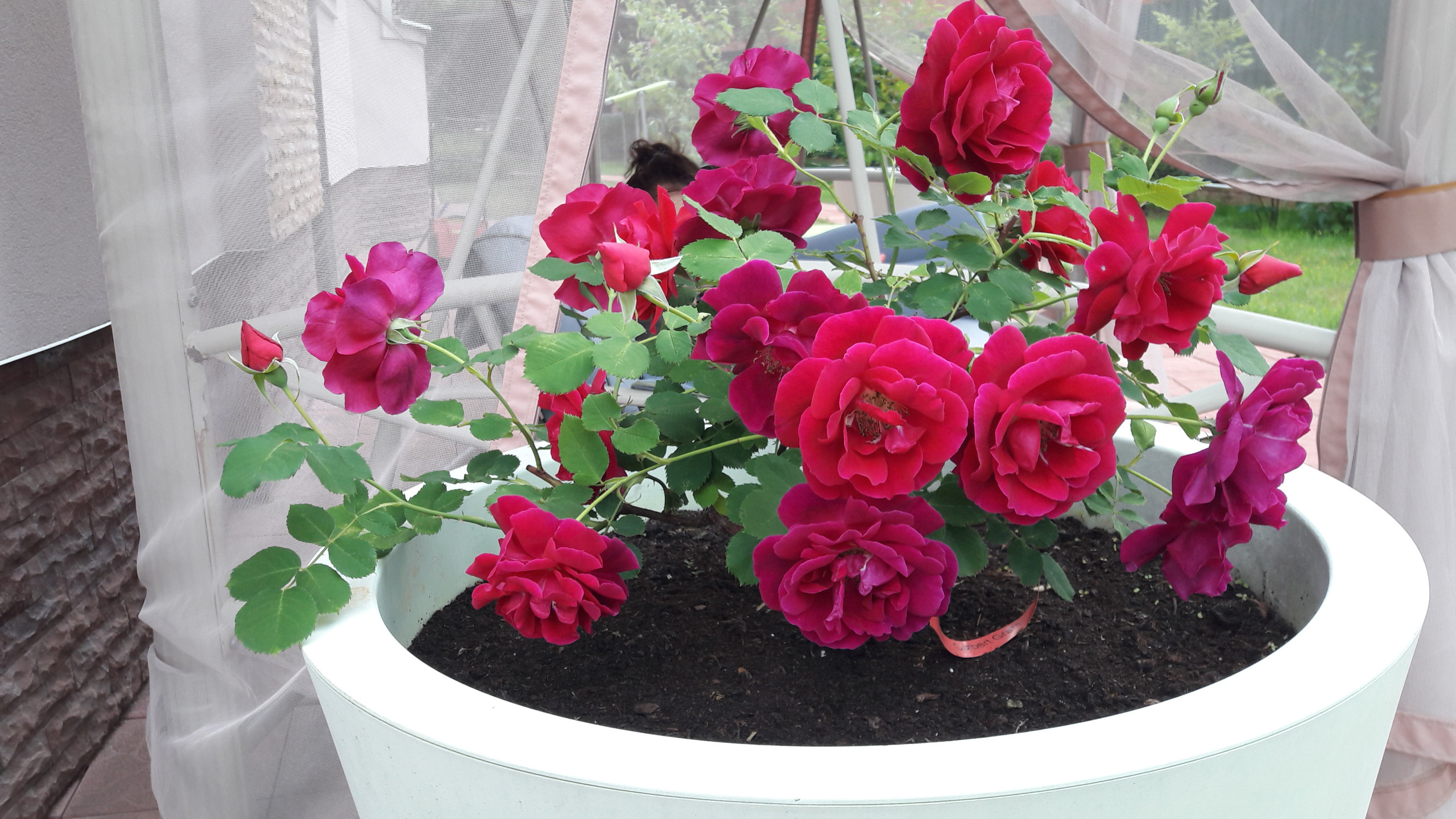 В гостях: Садик в подмосковных Рыбаках — как во Франции