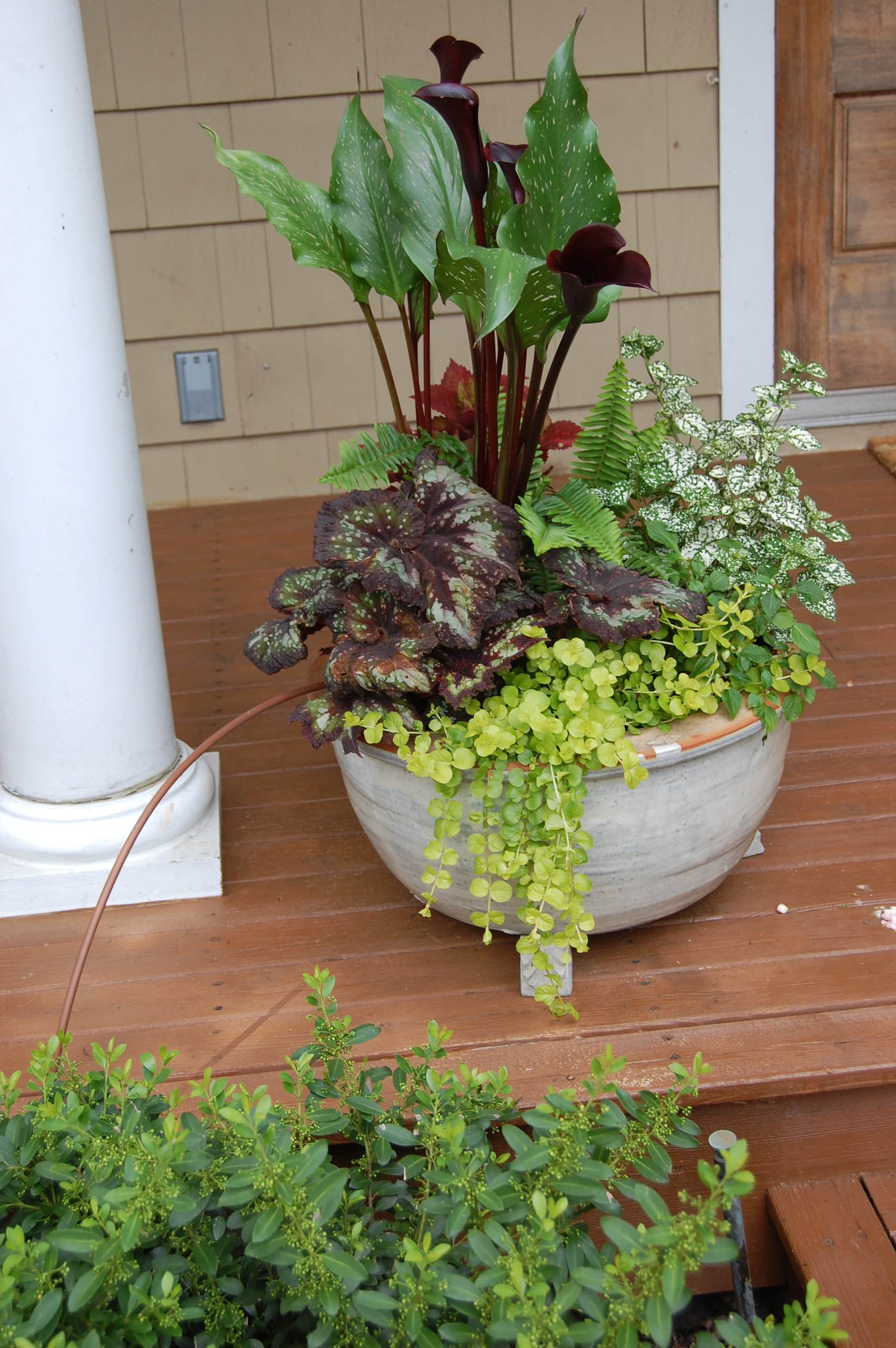 Зачем вам: Капельный полив на участке