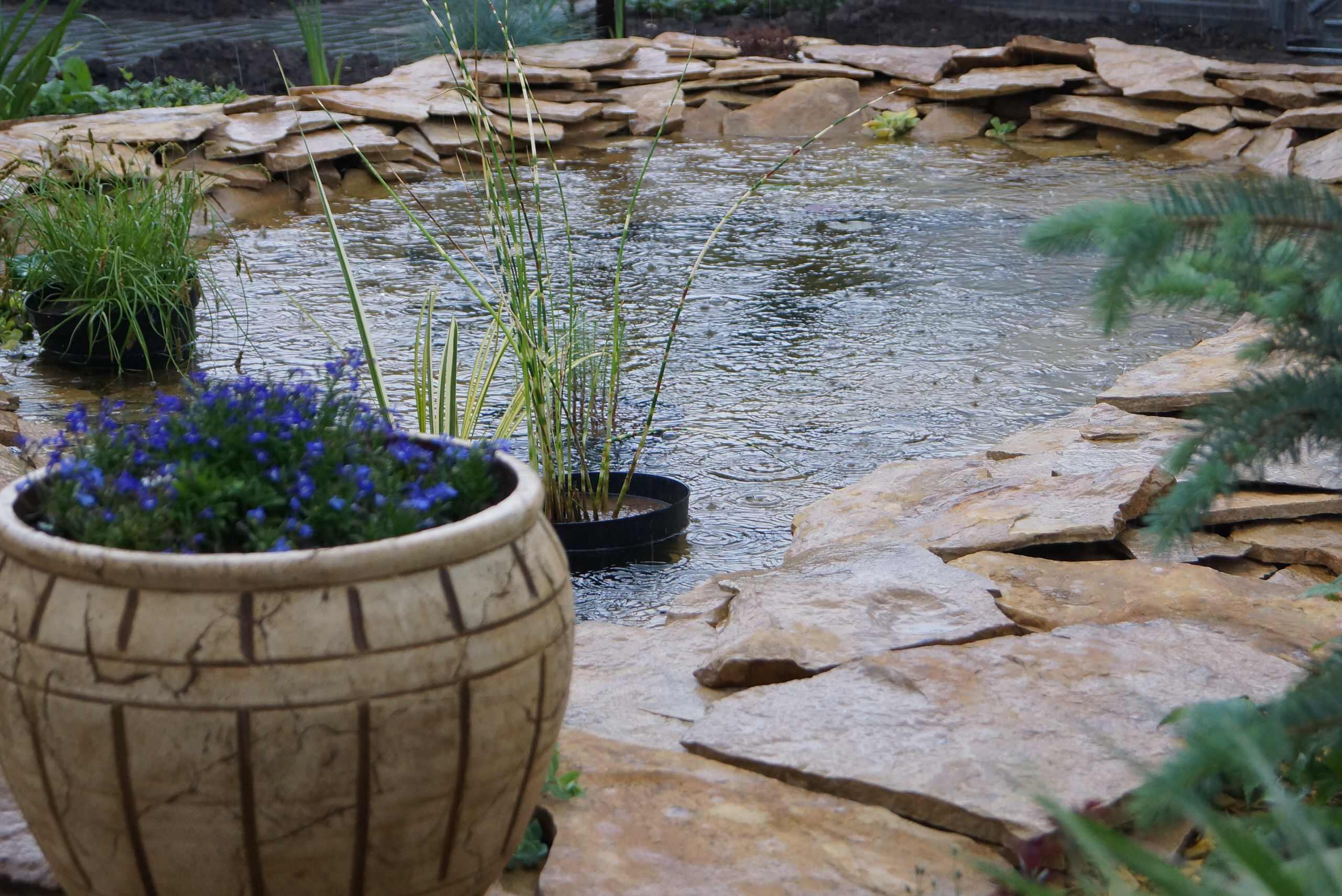 Houzz в саду: Дачный пруд в африканском стиле