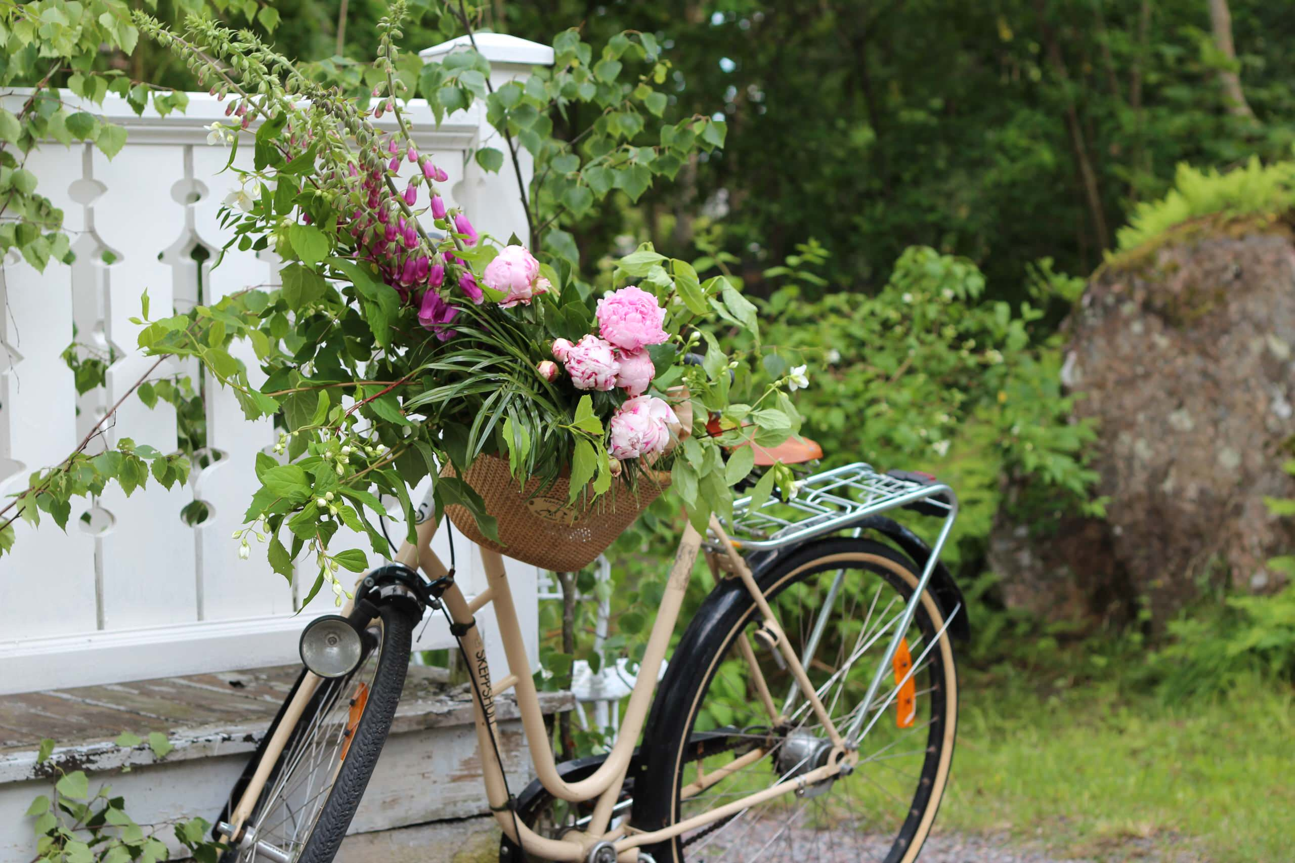 Спорт и жизнь: Где парковать велосипед в маленькой квартире