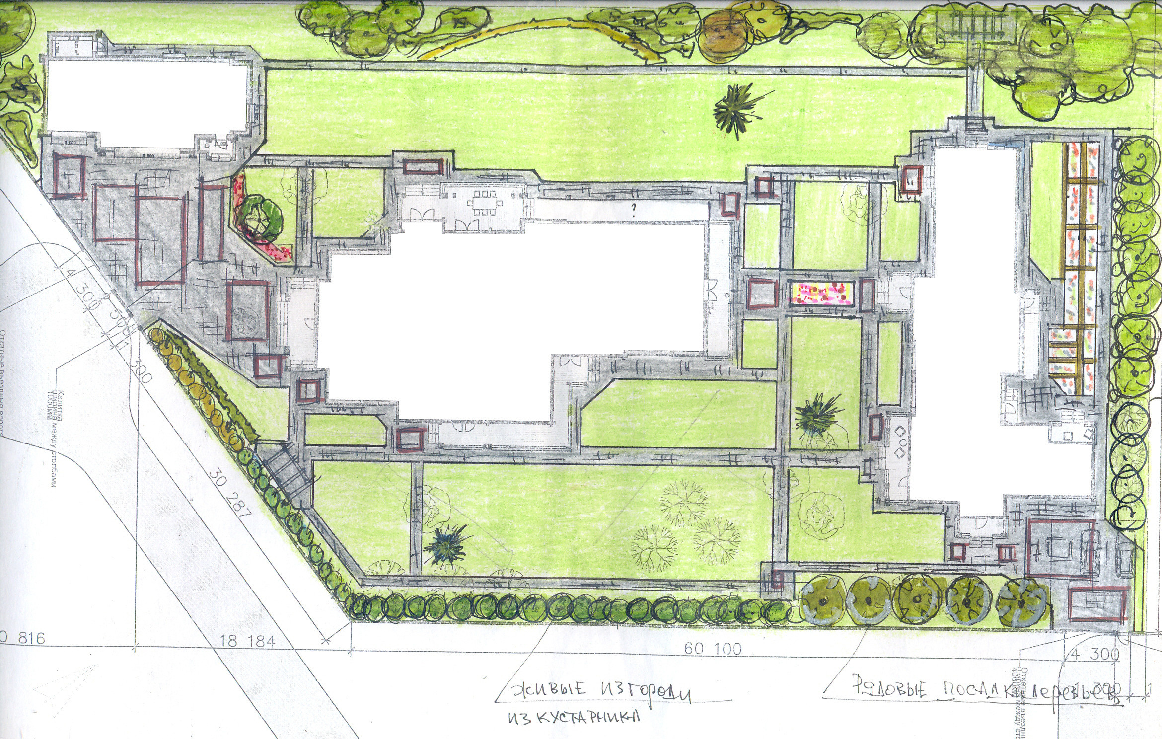 Планировка сада: 3 варианта, финальный генплан + анализ инсоляции
