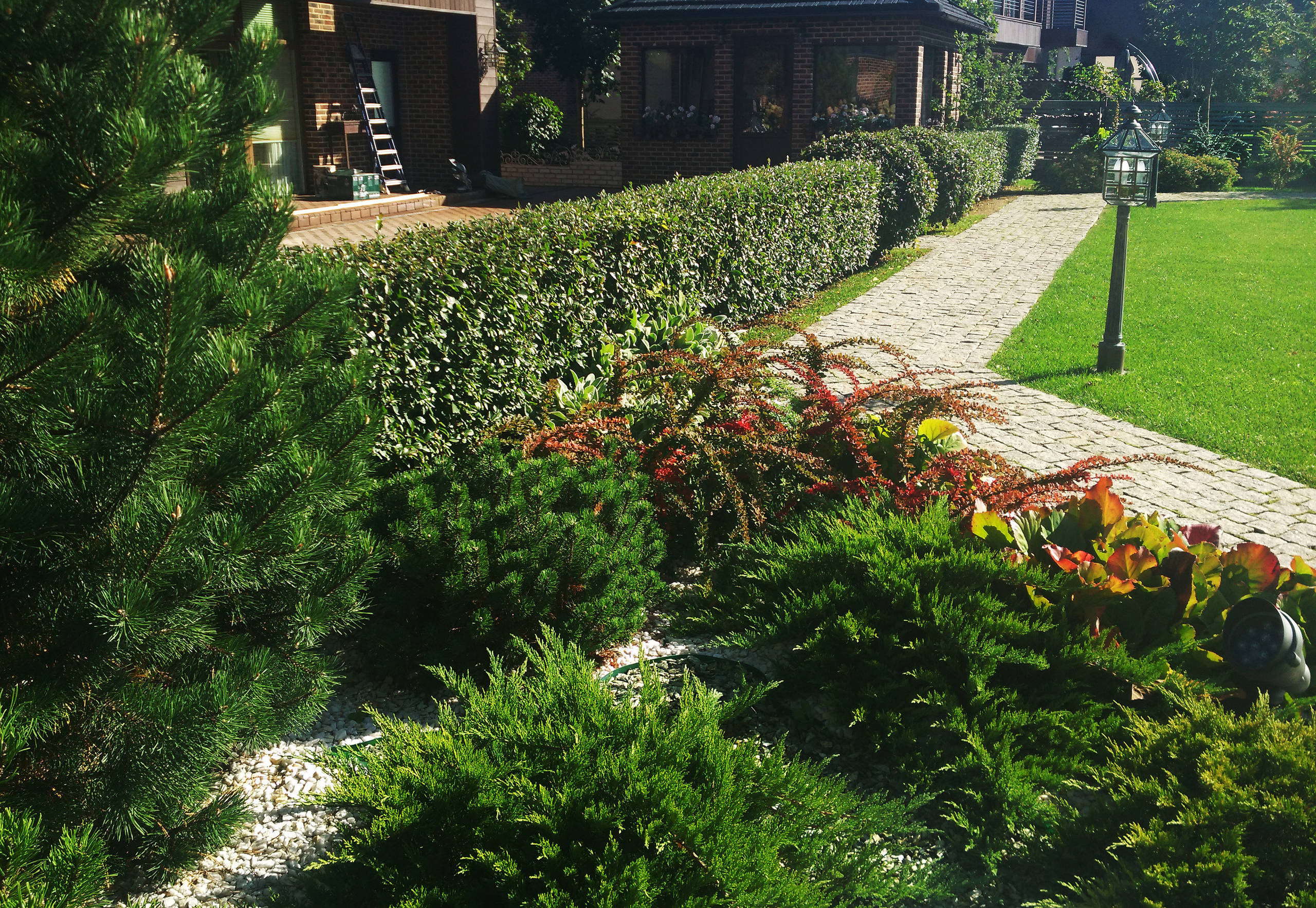 В гостях: Подмосковный сад со средиземноморским характером