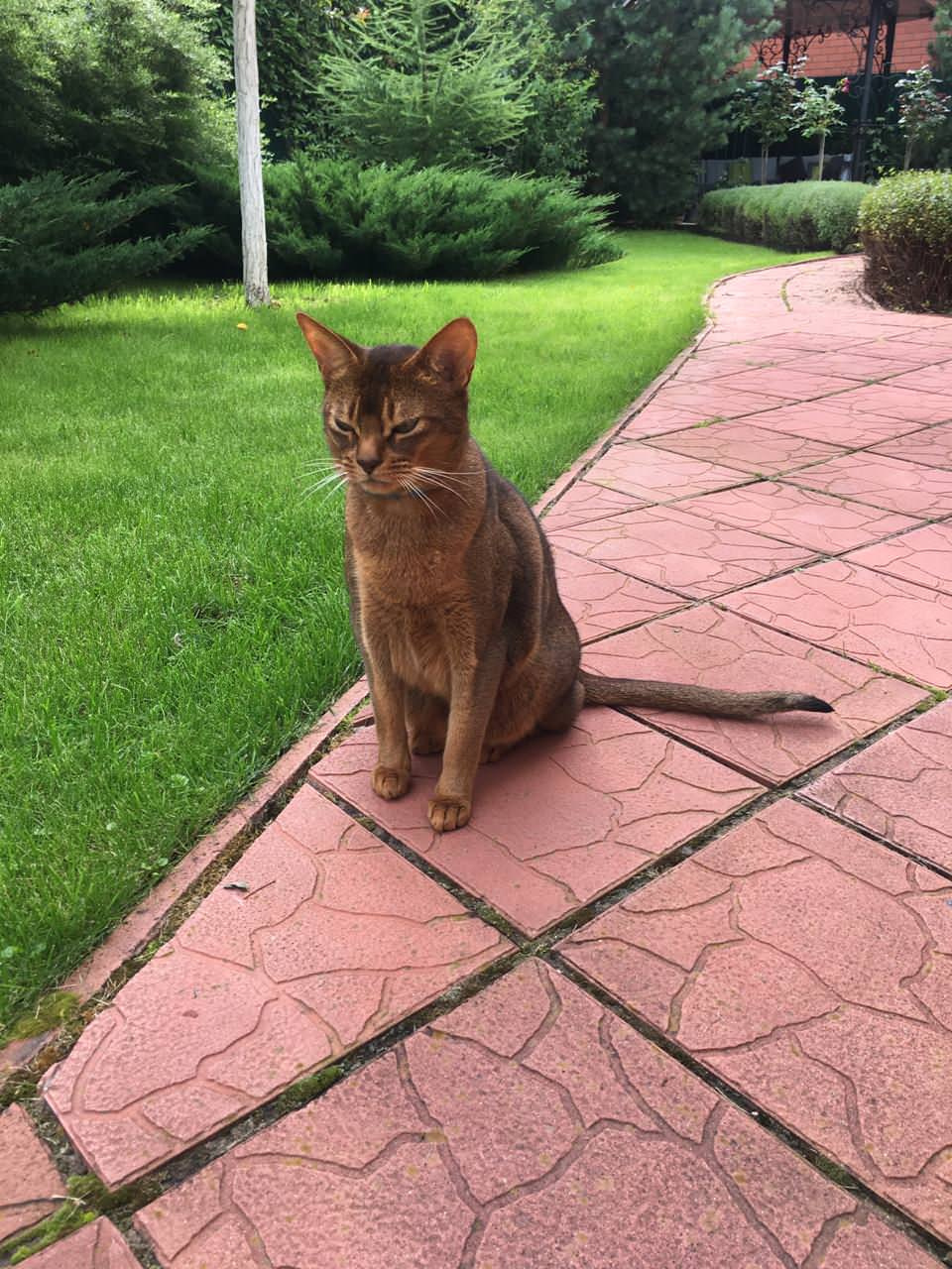 В гостях: Садик в подмосковных Рыбаках — как во Франции