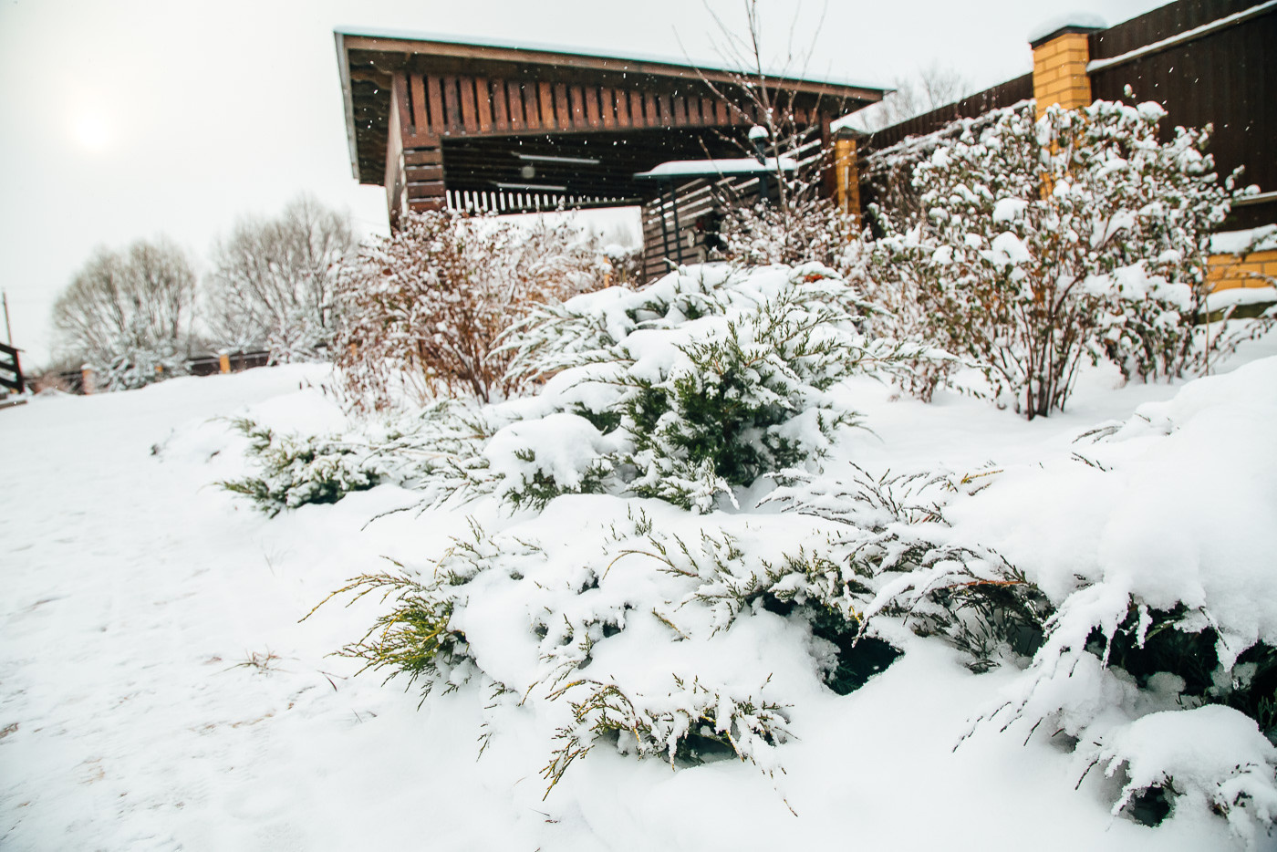 В гостях: Сад под Рязанью в ожидании праздника