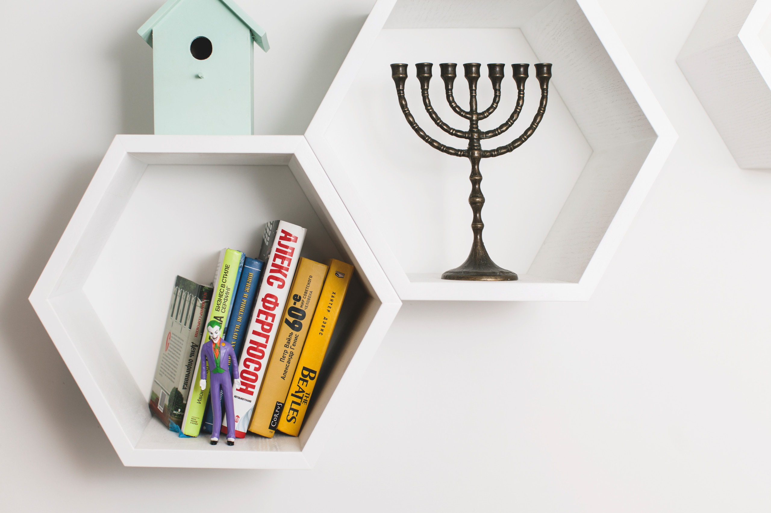 В гостях: Московская квартира со старинными часами и совами