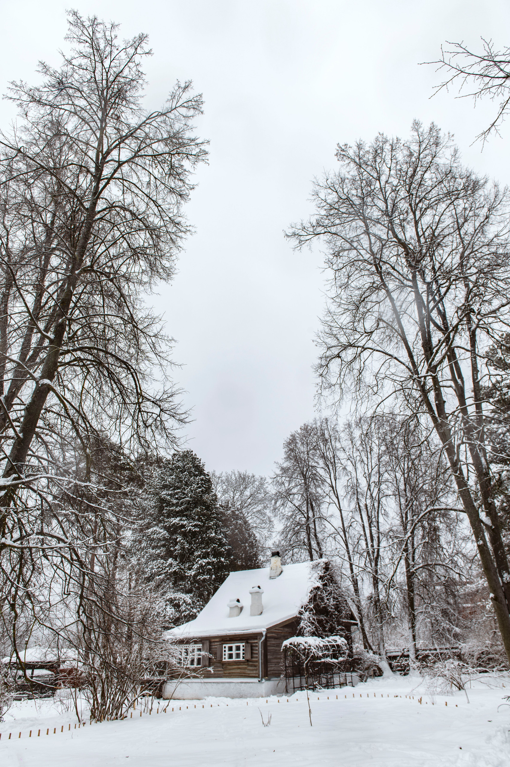 Как украсить дом к Новому году: Пример декоратора Жени Ждановой