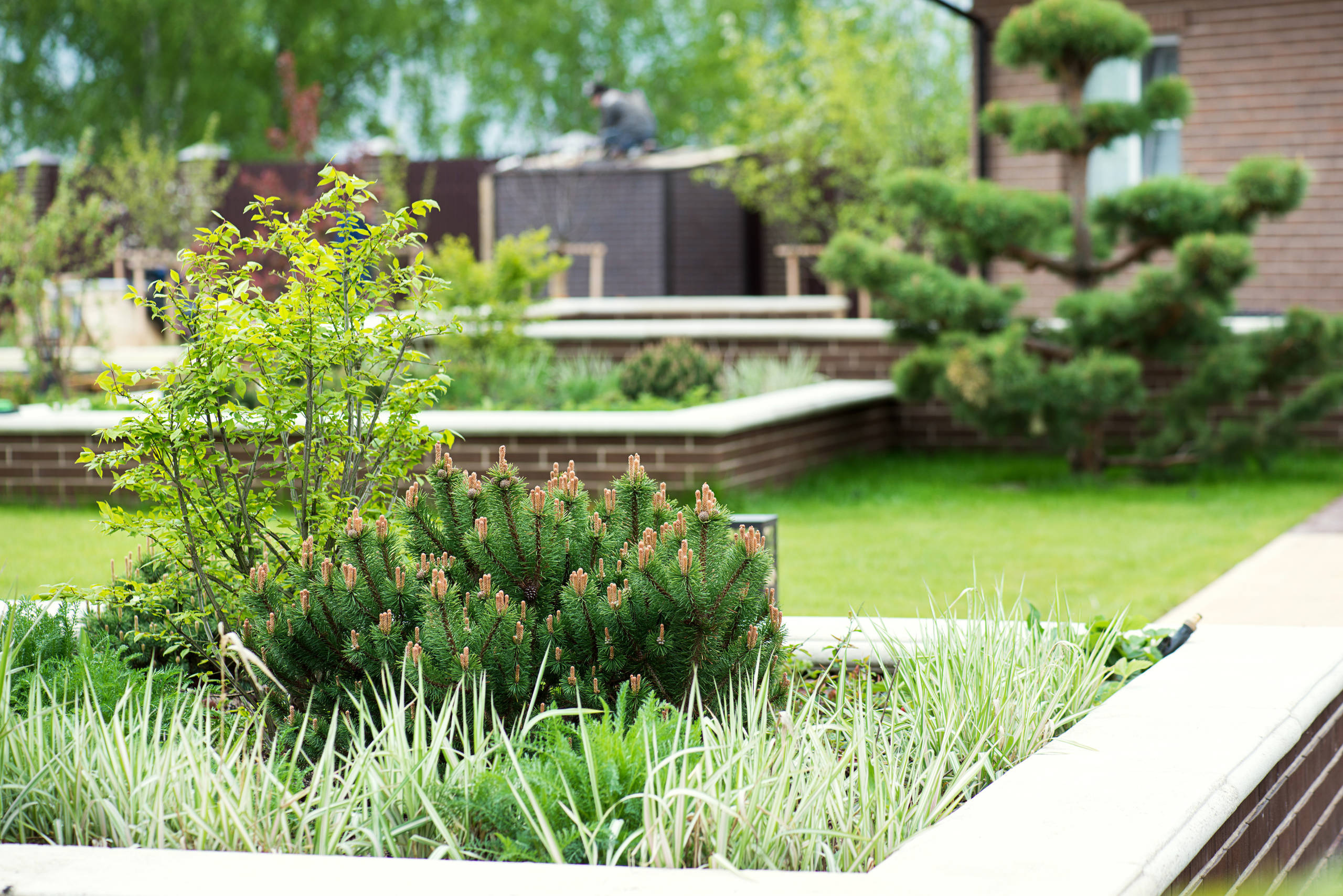 Проект недели: Три времени года в саду под Рязанью