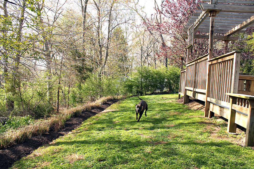 Дачная аптечка: «Скорая помощь», которая всегда с тобой