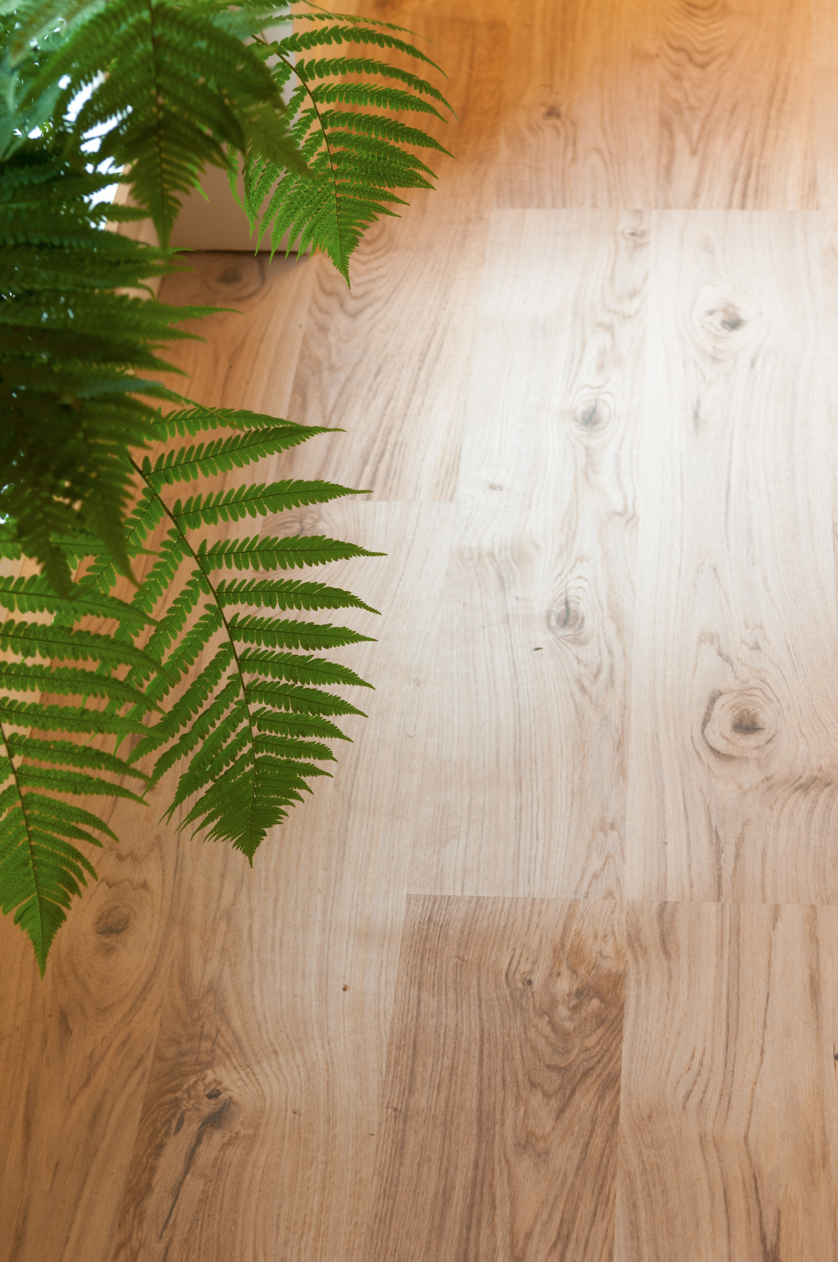 Почему мы любим пробковый пол и советуем его вам