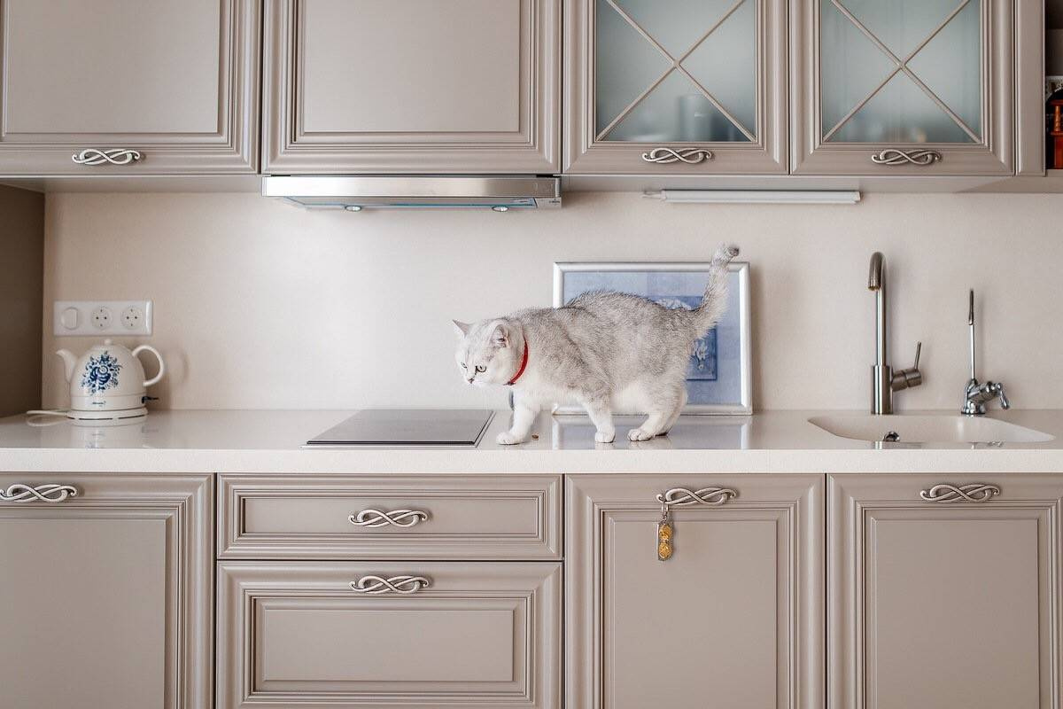 Дизайн-дебаты: Нужна ли дверь на кухню