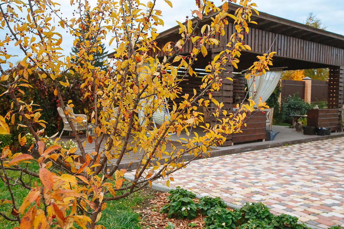 Проект недели: Пестрый сад в Рязанской области