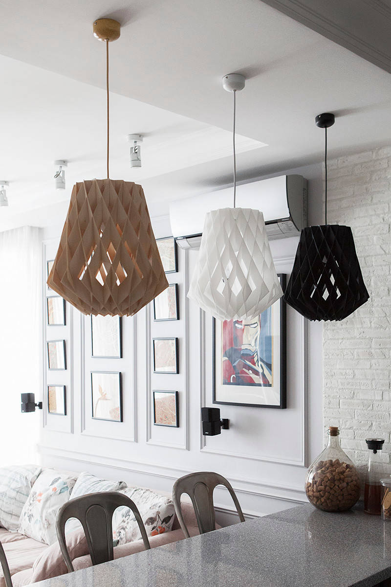 В гостях: Маленькая квартира для молодой девушки-юриста, кошки и собаки