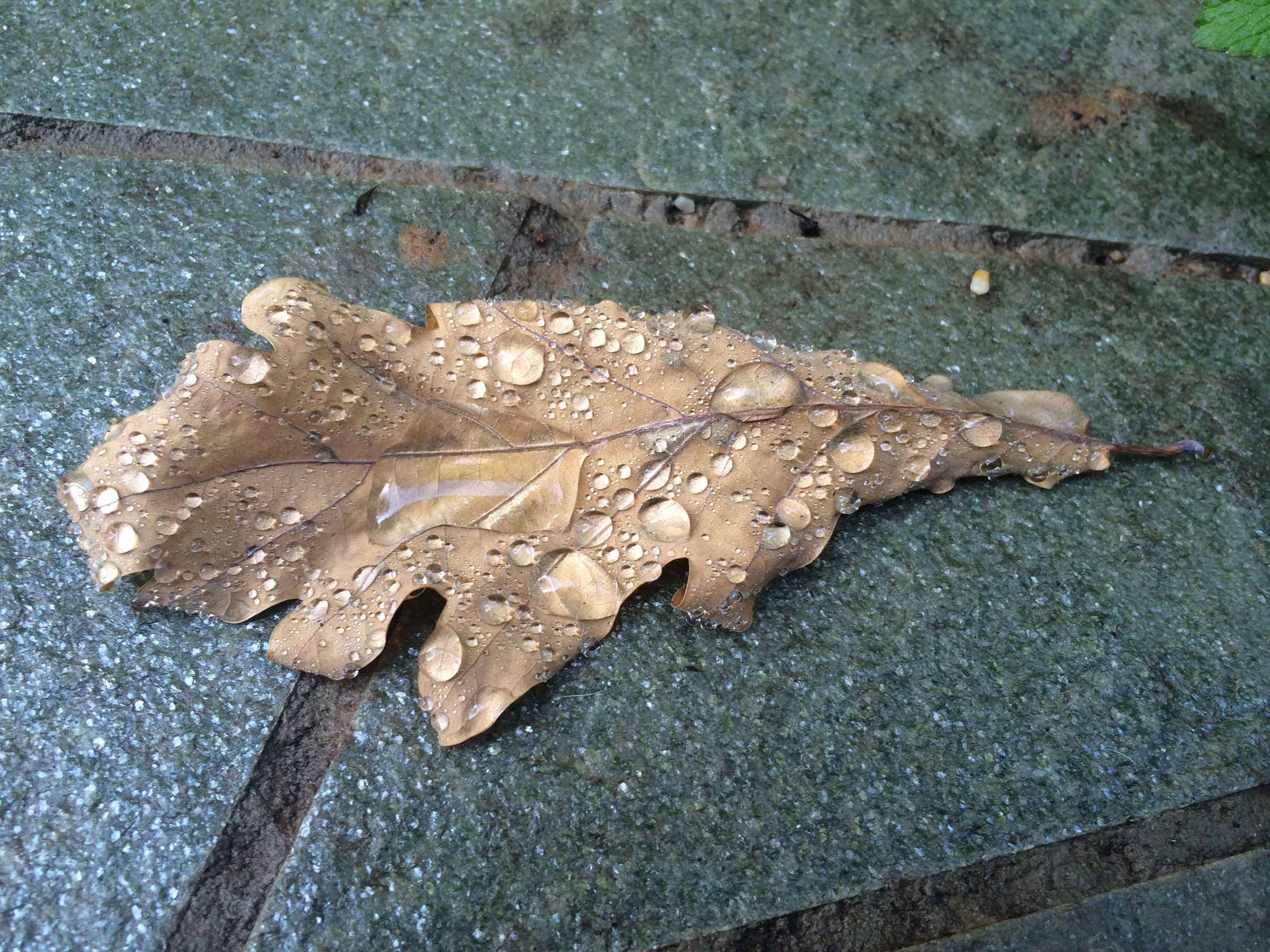 Вопрос: Как пережить сезонную депрессию за городом