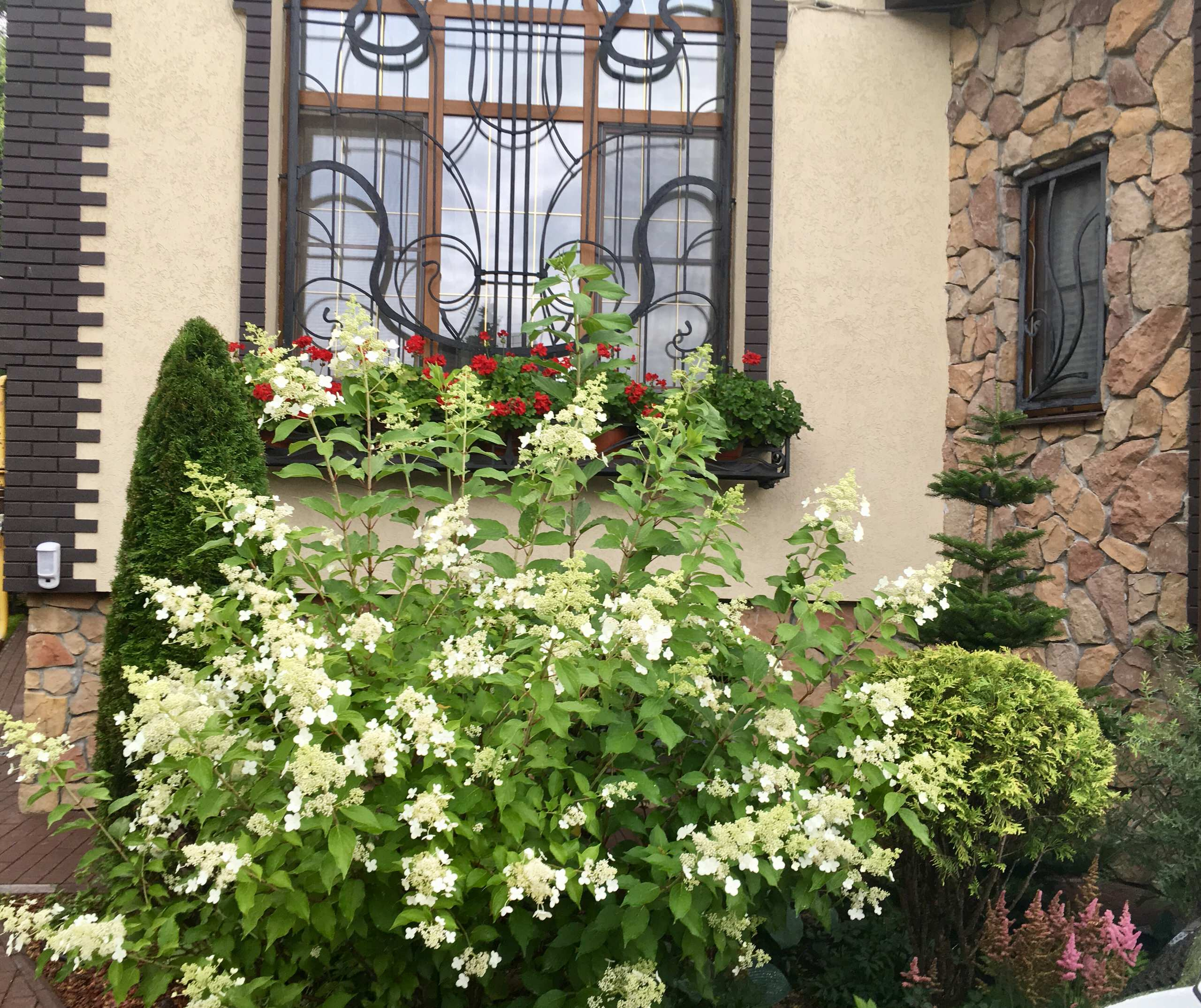 В гостях: Сад на 14 сотках, где живут круглый год