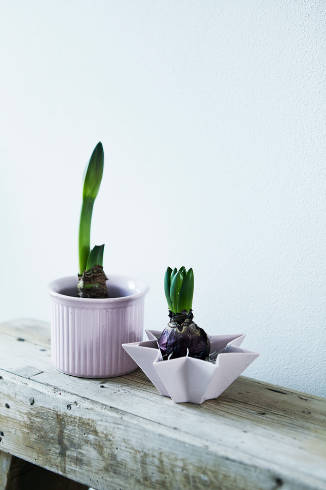 Дизайн-дебаты: Есть ли тренды в комнатных растениях