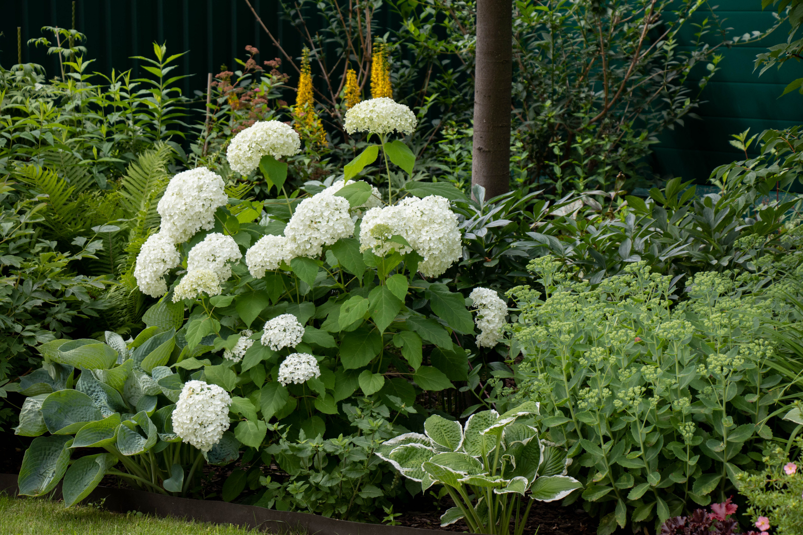 В гостях: Садик в подмосковных Рыбаках — как во Франции