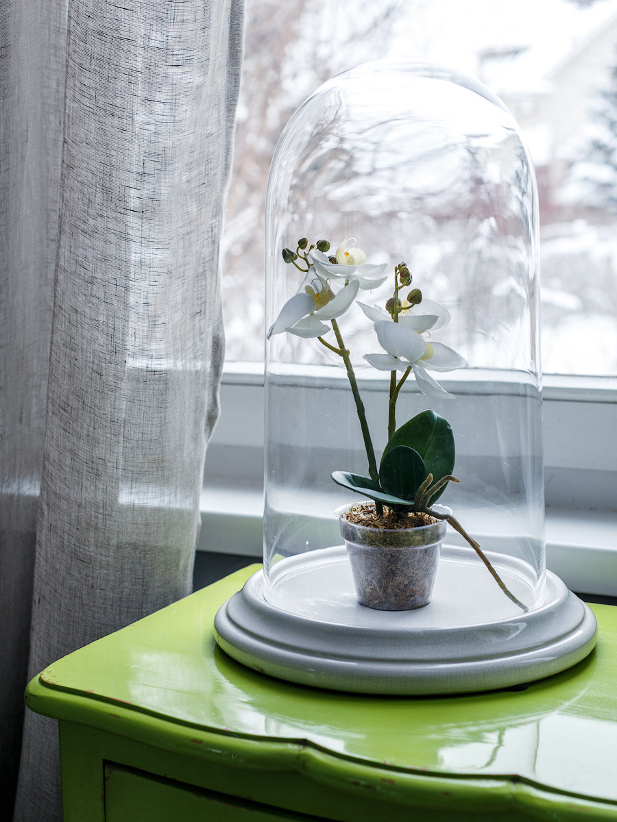 Пересадка комнатных растений: Что я делаю не так