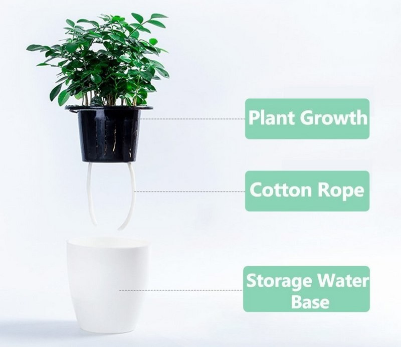 Четыре способа поливать цветы, когда вас нет дома