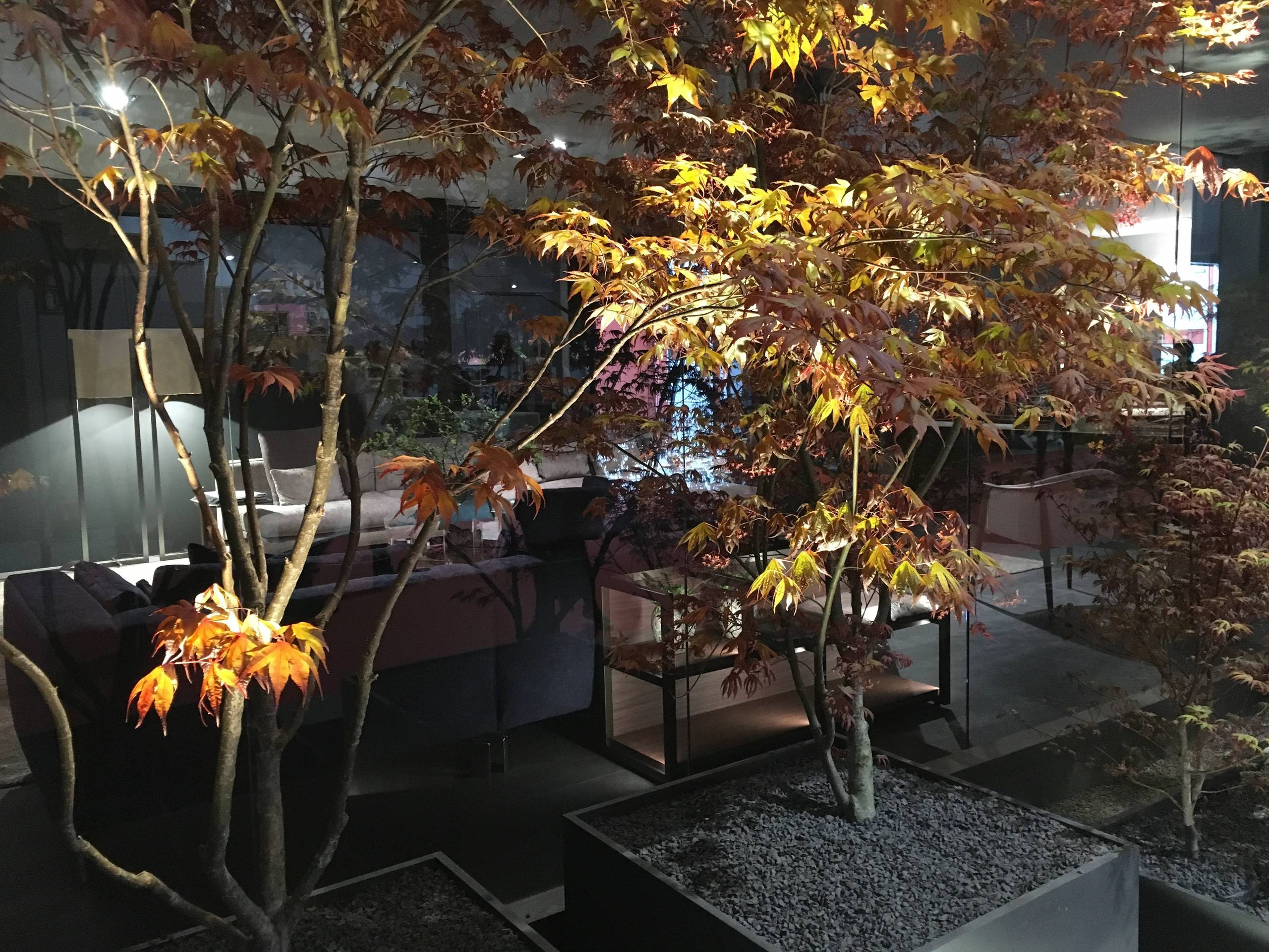 Микротренды: Мода на сад в интерьере. Внезапно иной