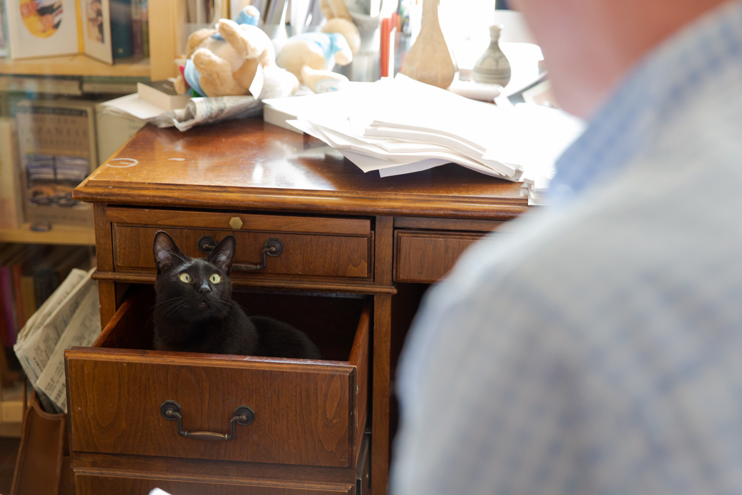 Ситуация: Заказчики разводятся в процессе ремонта