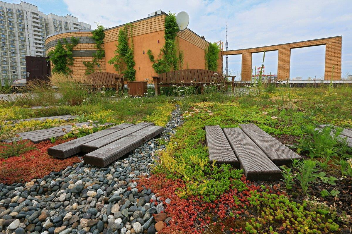 Сад на крыше: Как правильно выбрать растения