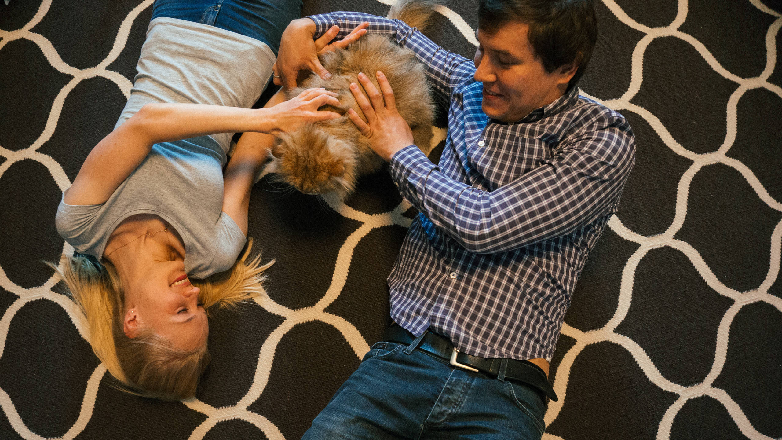 В гостях: Квартира для кота Лиса и молодой семьи