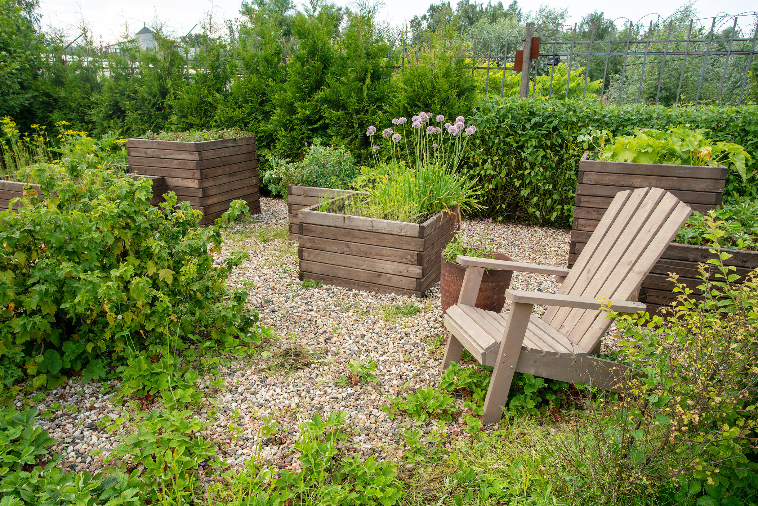 Проект недели: Пейзажный сад от телеведущей