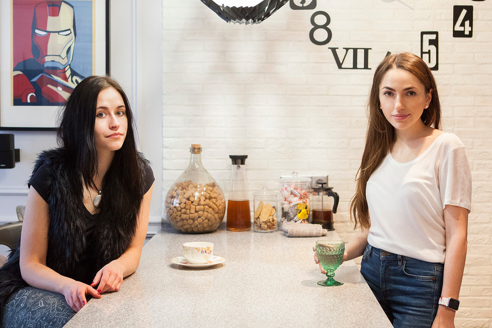 В гостях: Маленькая квартира для молодой девушки-юриста, кошки и собаки