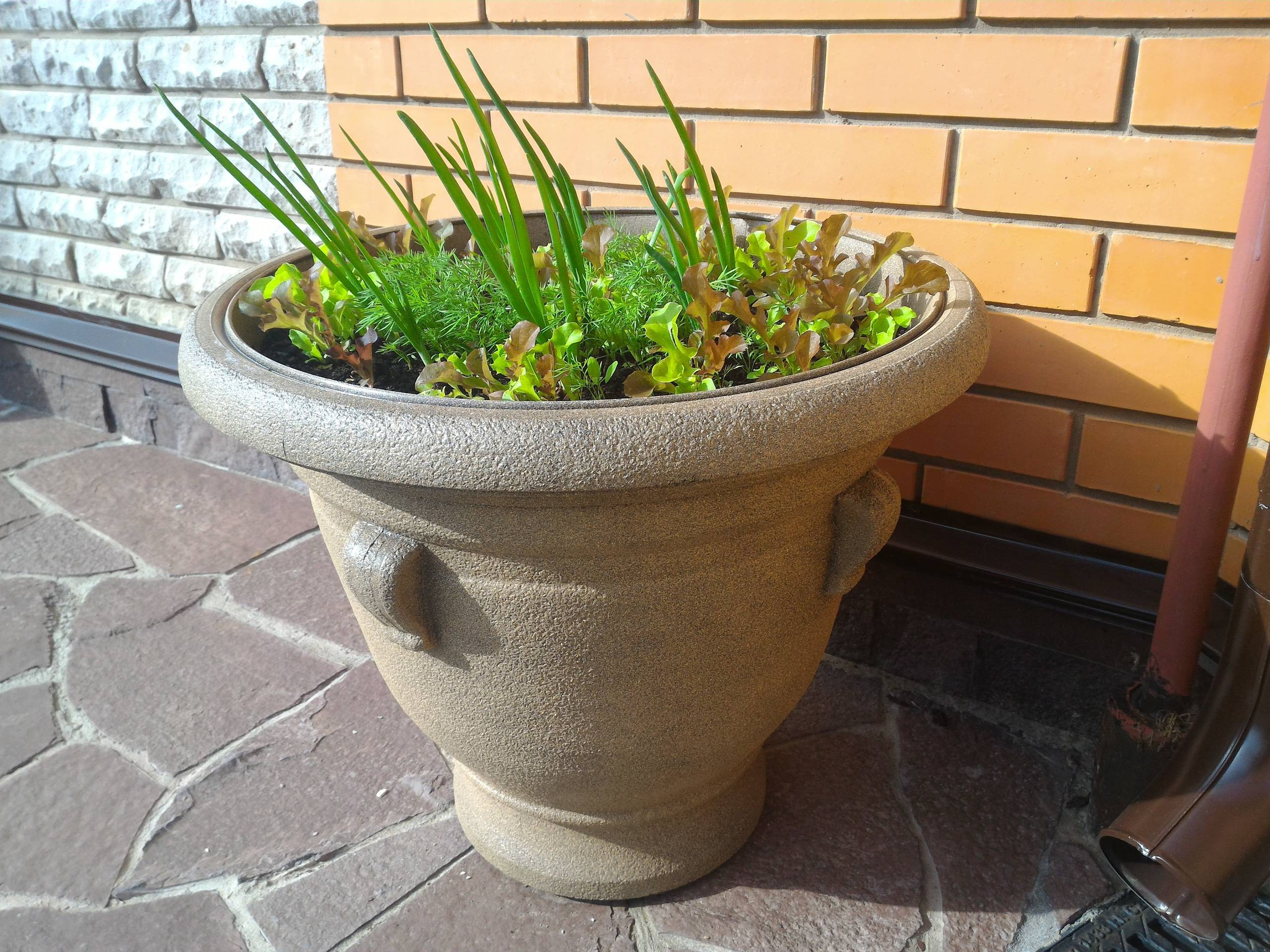 Как правильно: Создать огород в «неудобном» месте