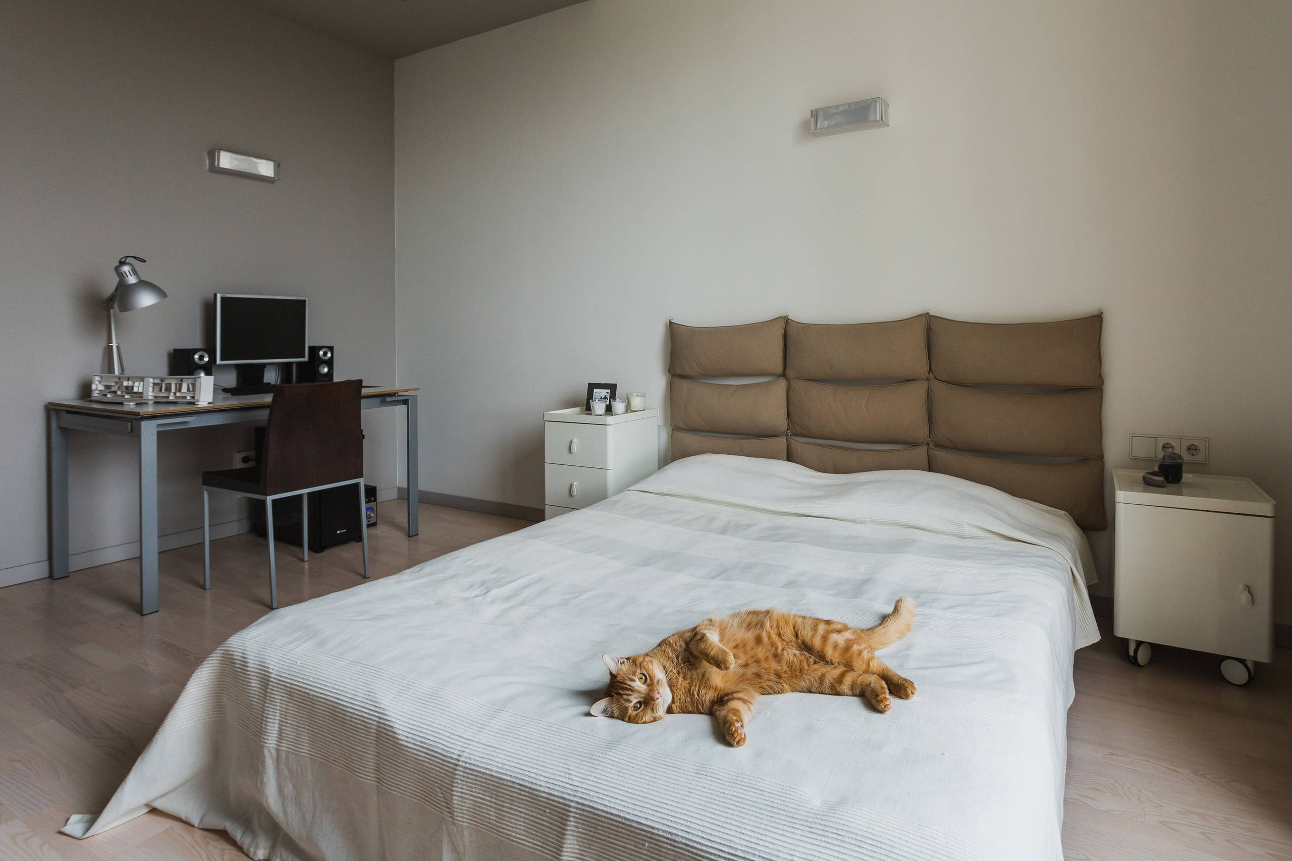 В гостях: Квартира и рабочий кабинет для московских архитекторов