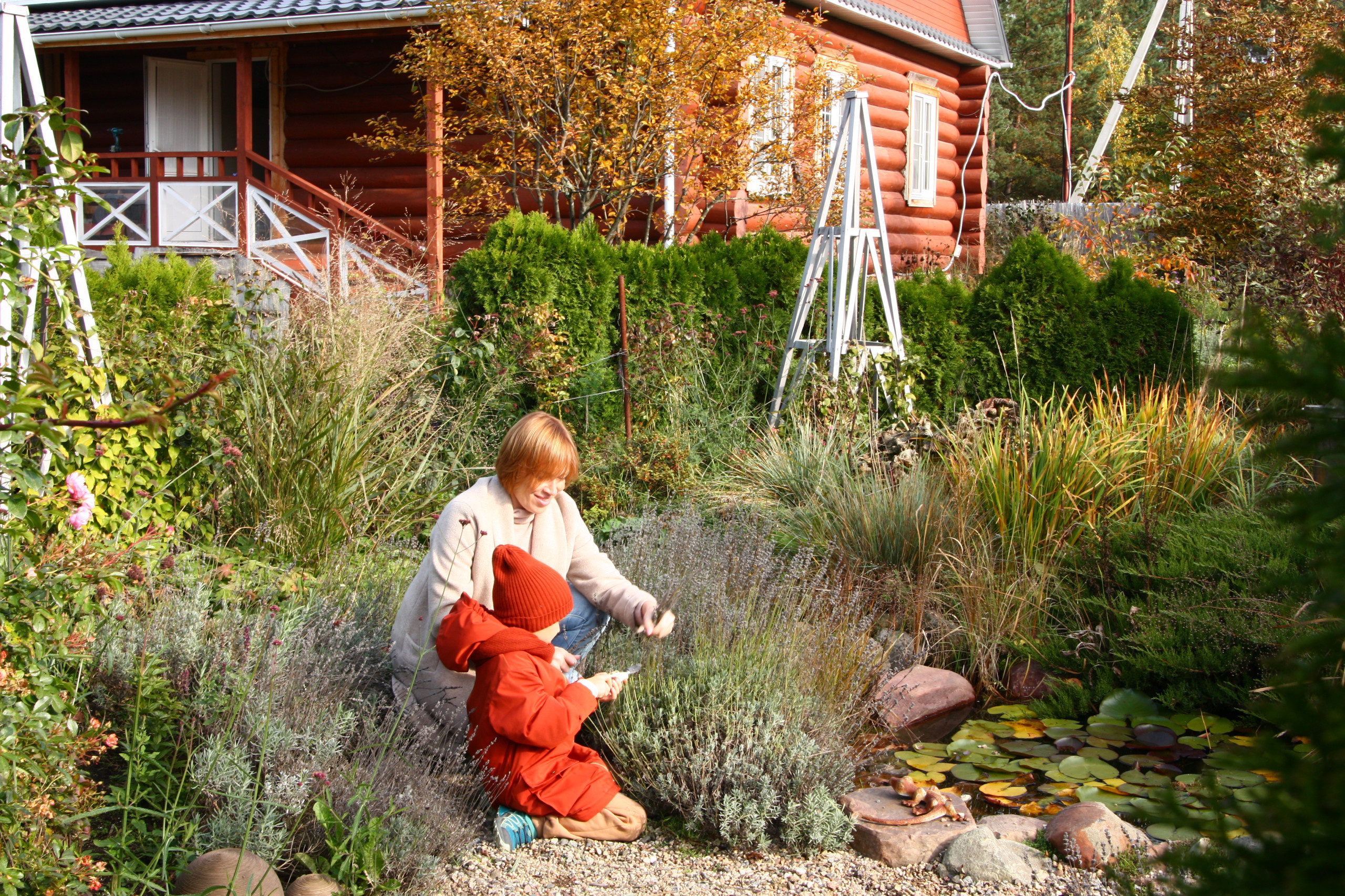 В гостях: Уютный сад с прудом на песках от выгоревшего торфа