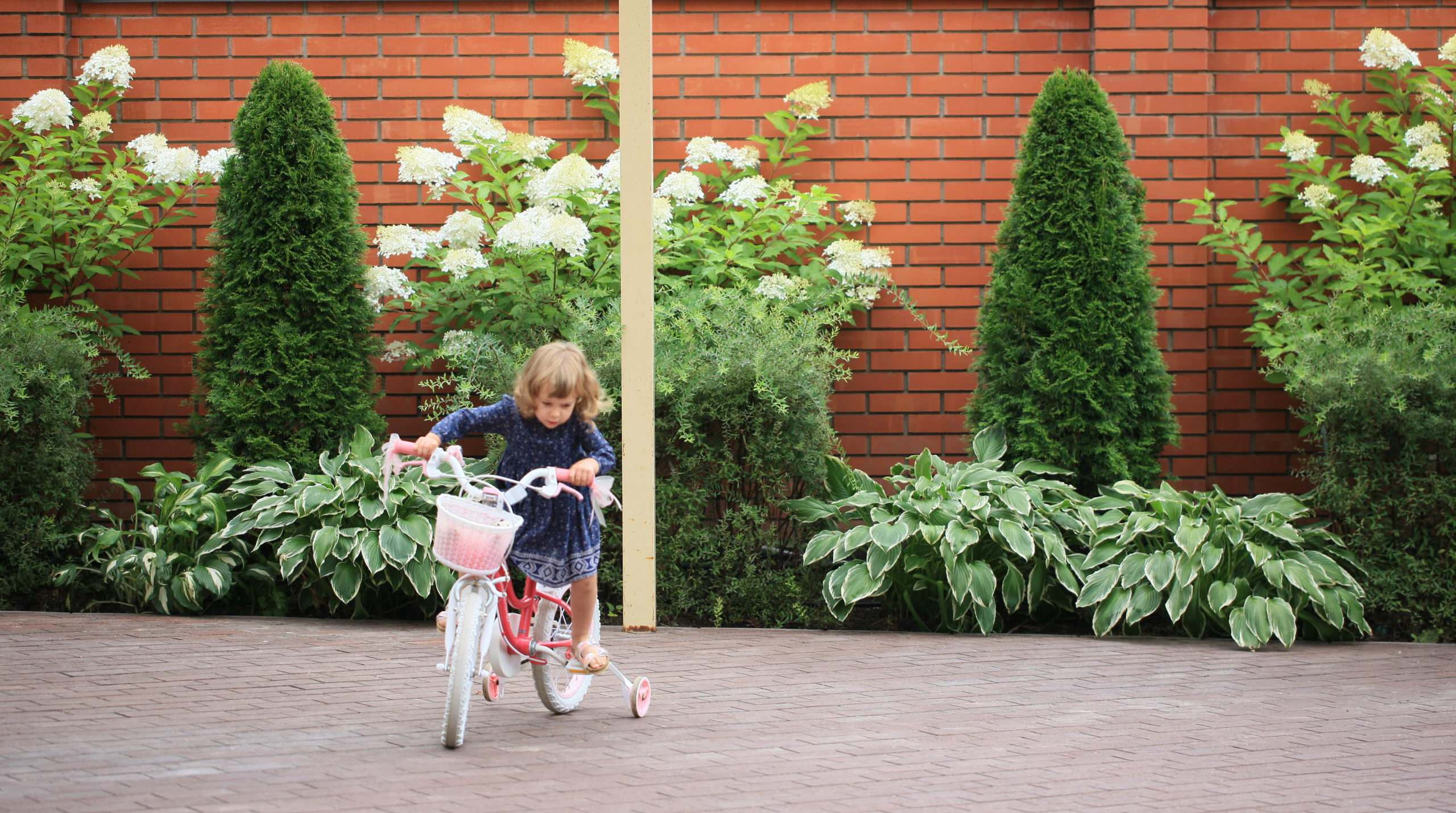 В гостях: Сад на 14 сотках, где живут круглый год