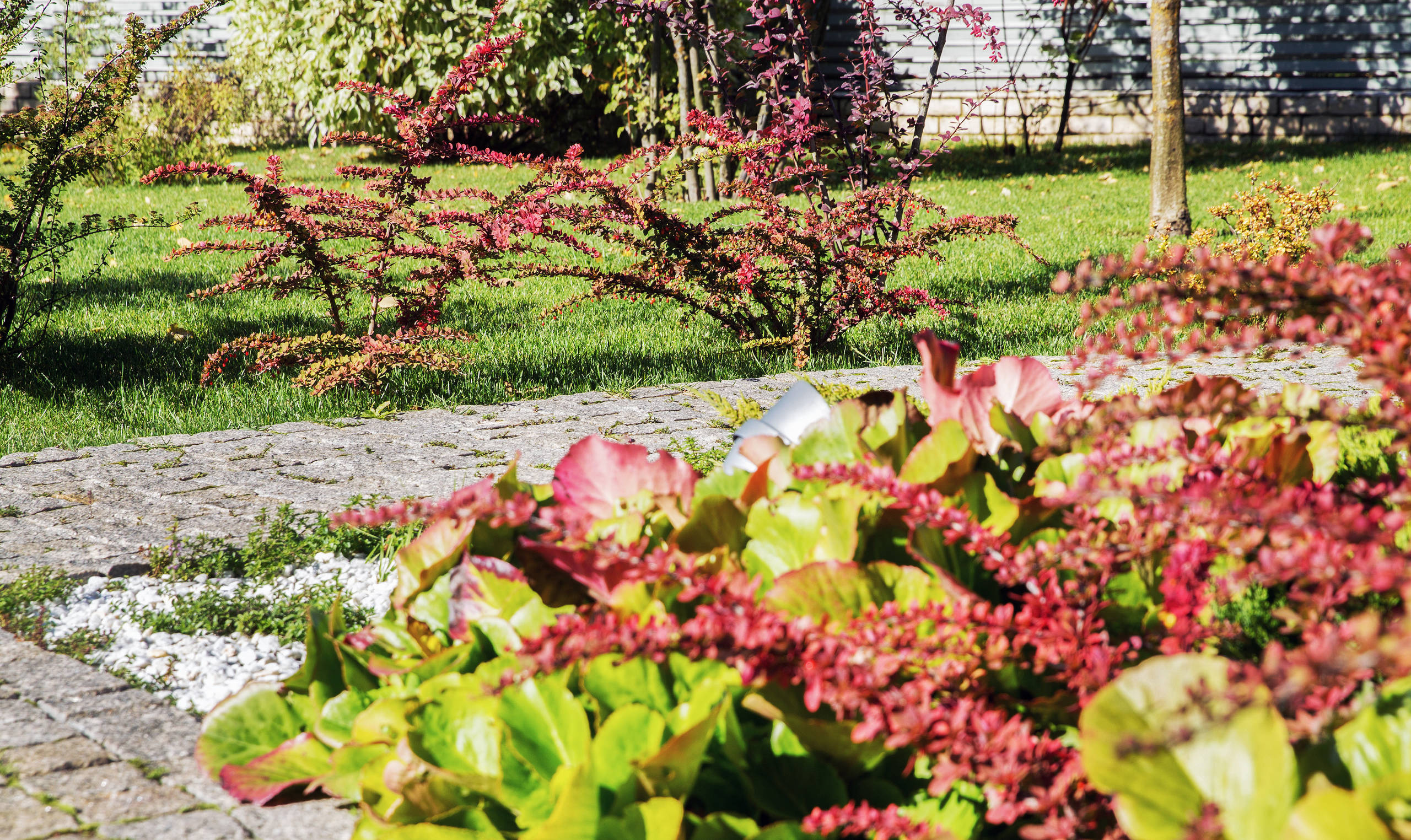 В гостях: Подмосковный сад со средиземноморским характером