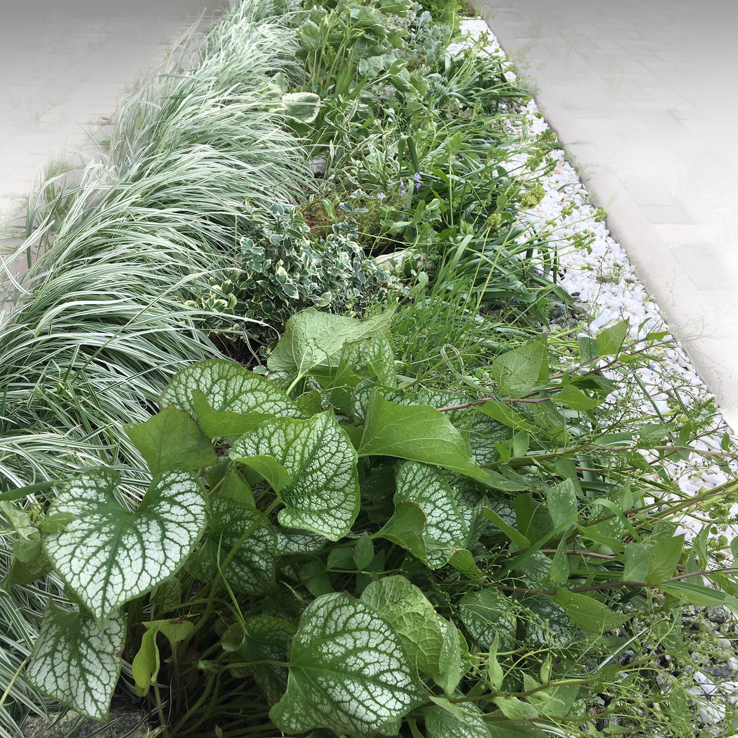 Что-то с чем-то: Как создавать композиции из растений