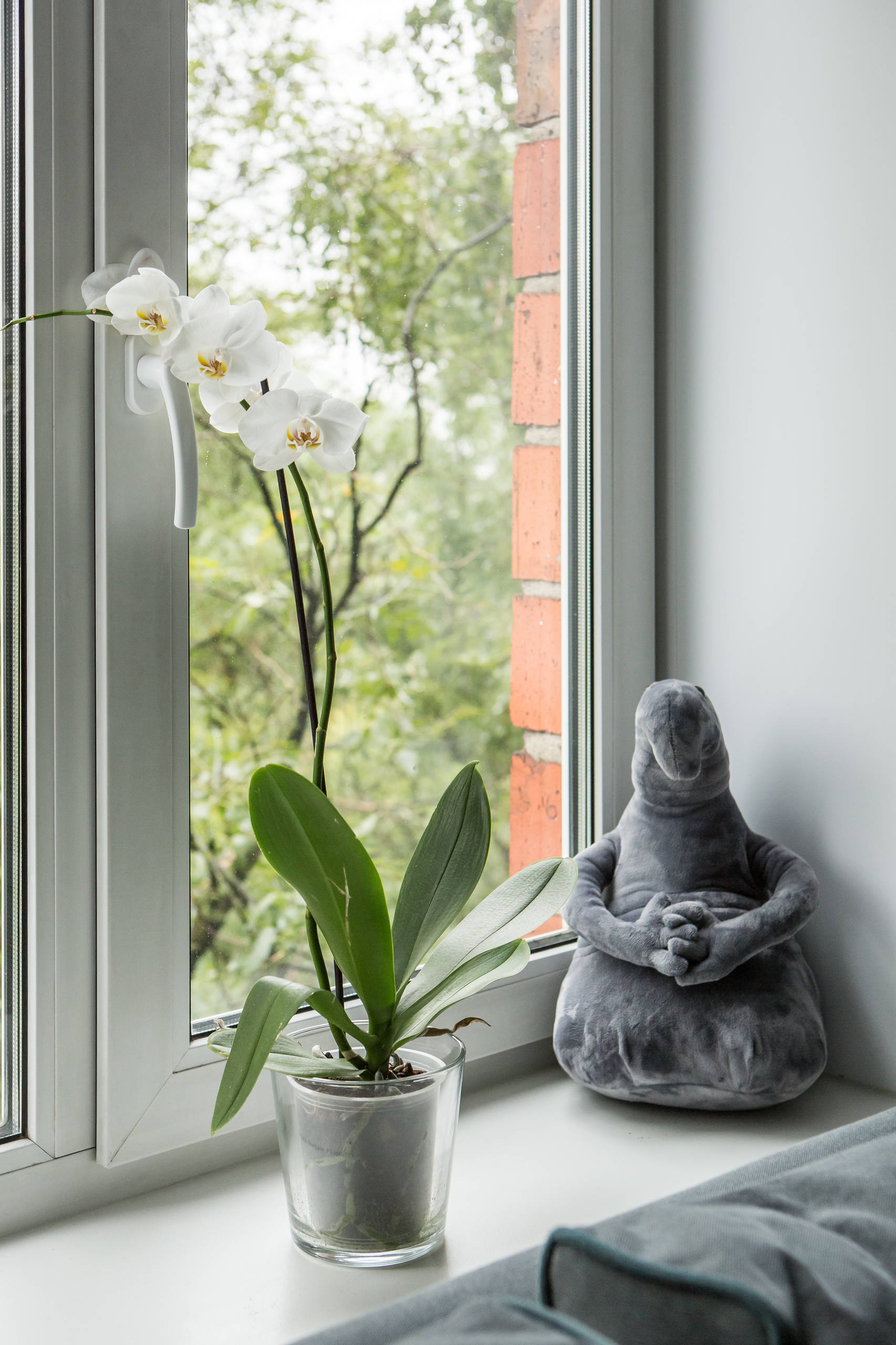 В гостях: Однокомнатная квартира 30 кв.м с тремя окнами