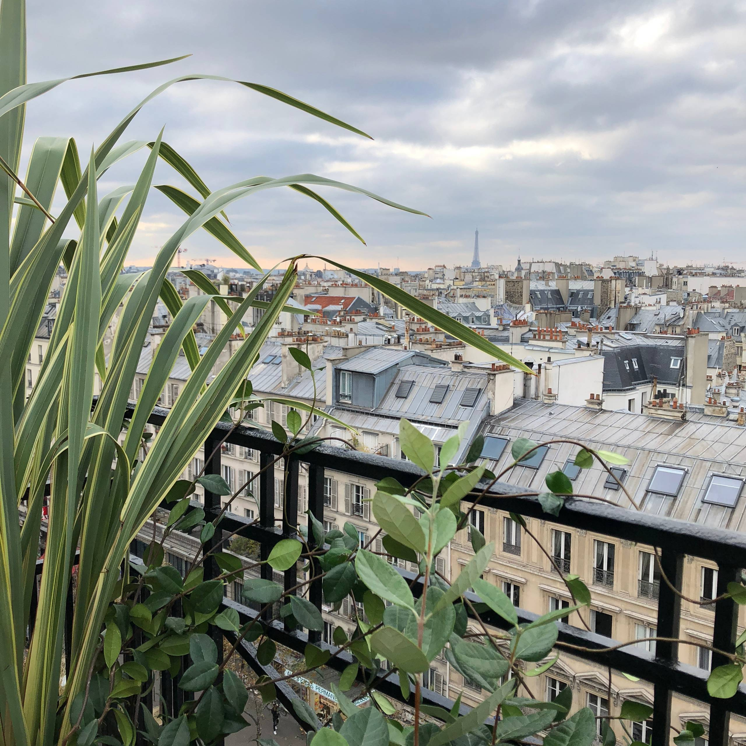 Прогулка на диване: Дома с видом на достопримечательности города