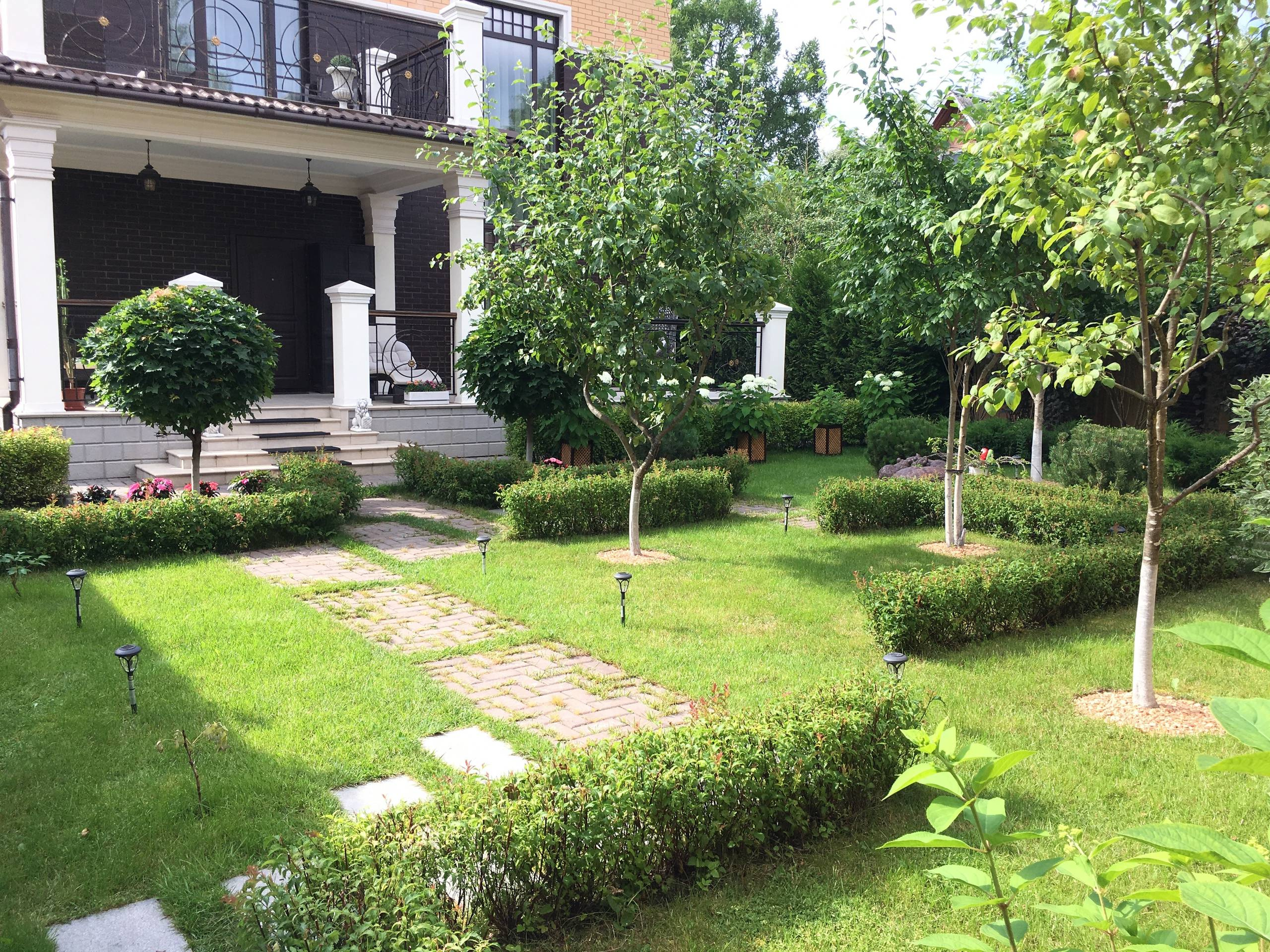 Зрелый сад: Как организовать уход за деревьями