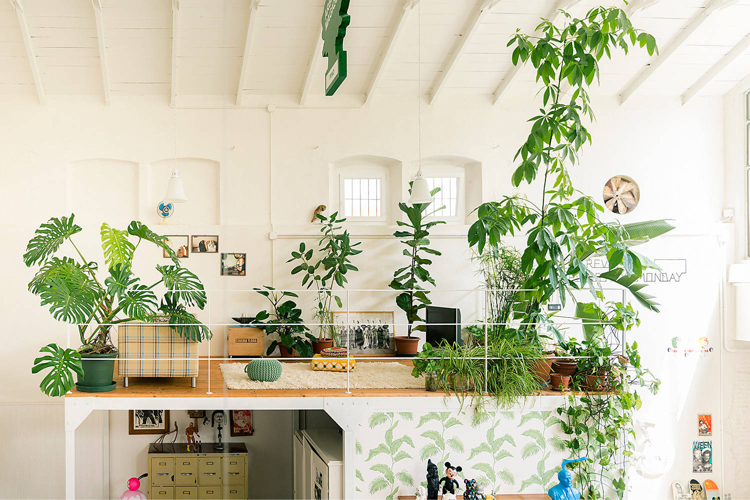 Тайный фэншуй: Какие растения в доме держать не стоит