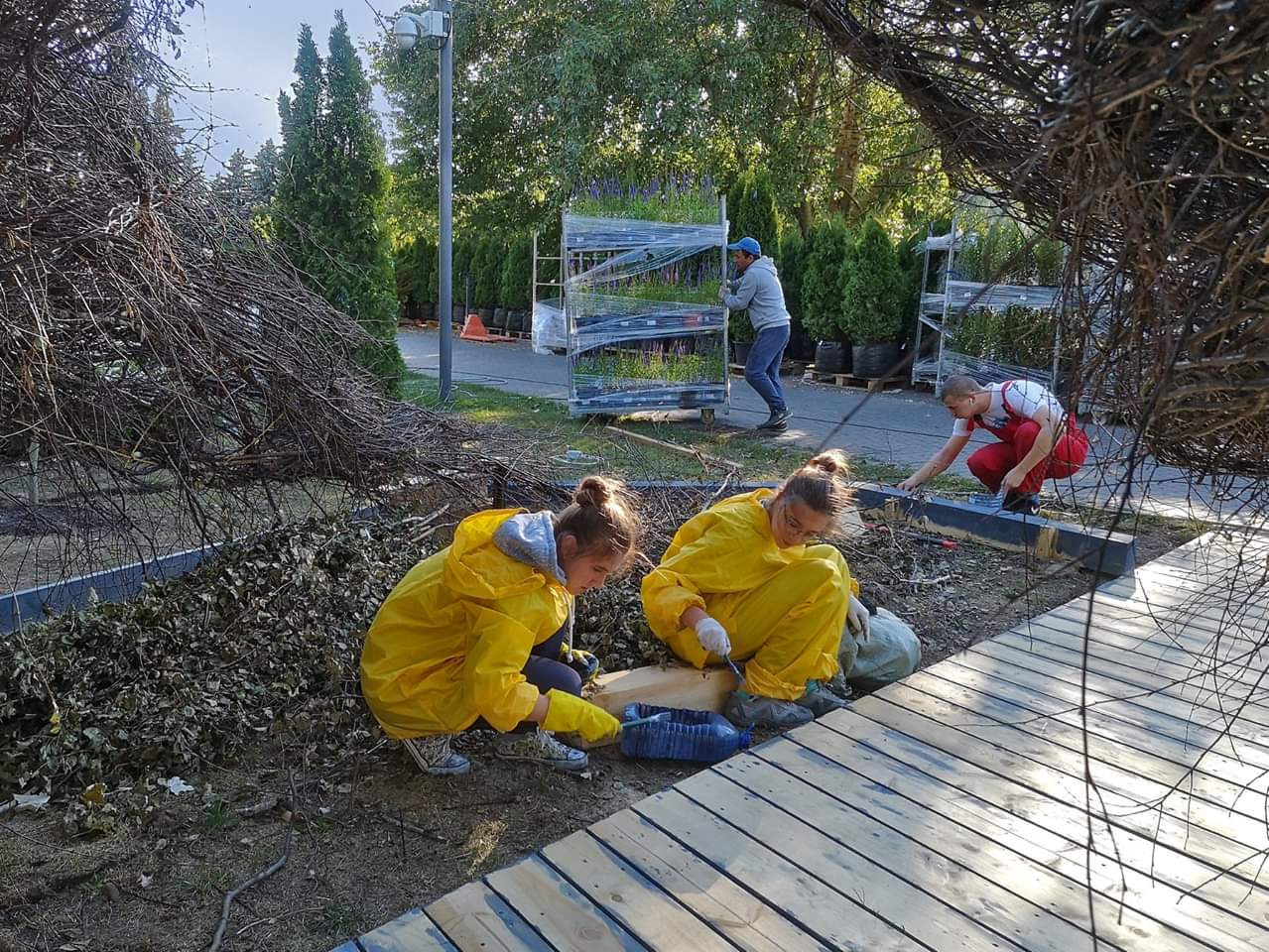 Проект недели: Сад «Декорации Метерлинка» на выставке в Москве